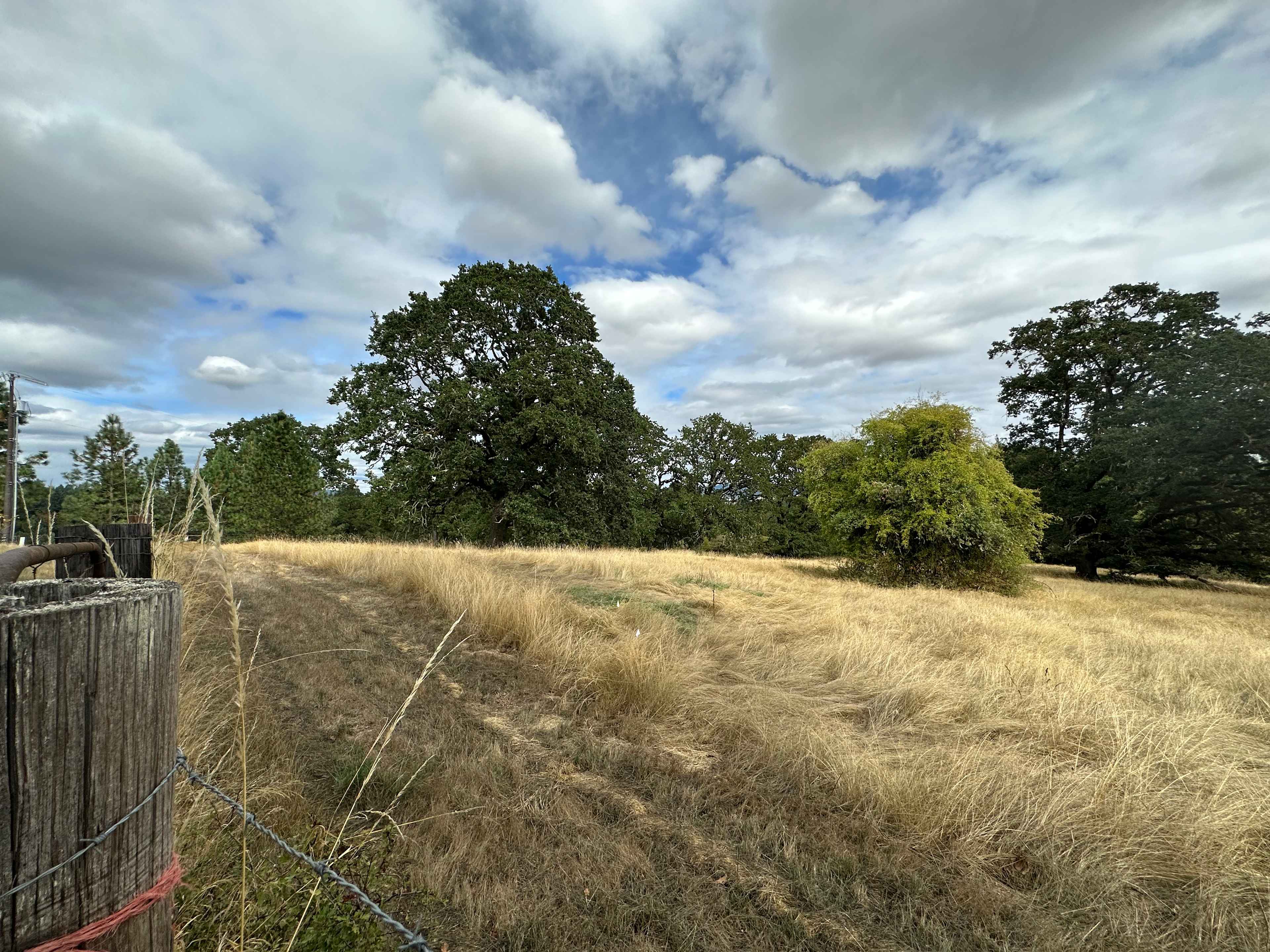 Ruby Rose Farms