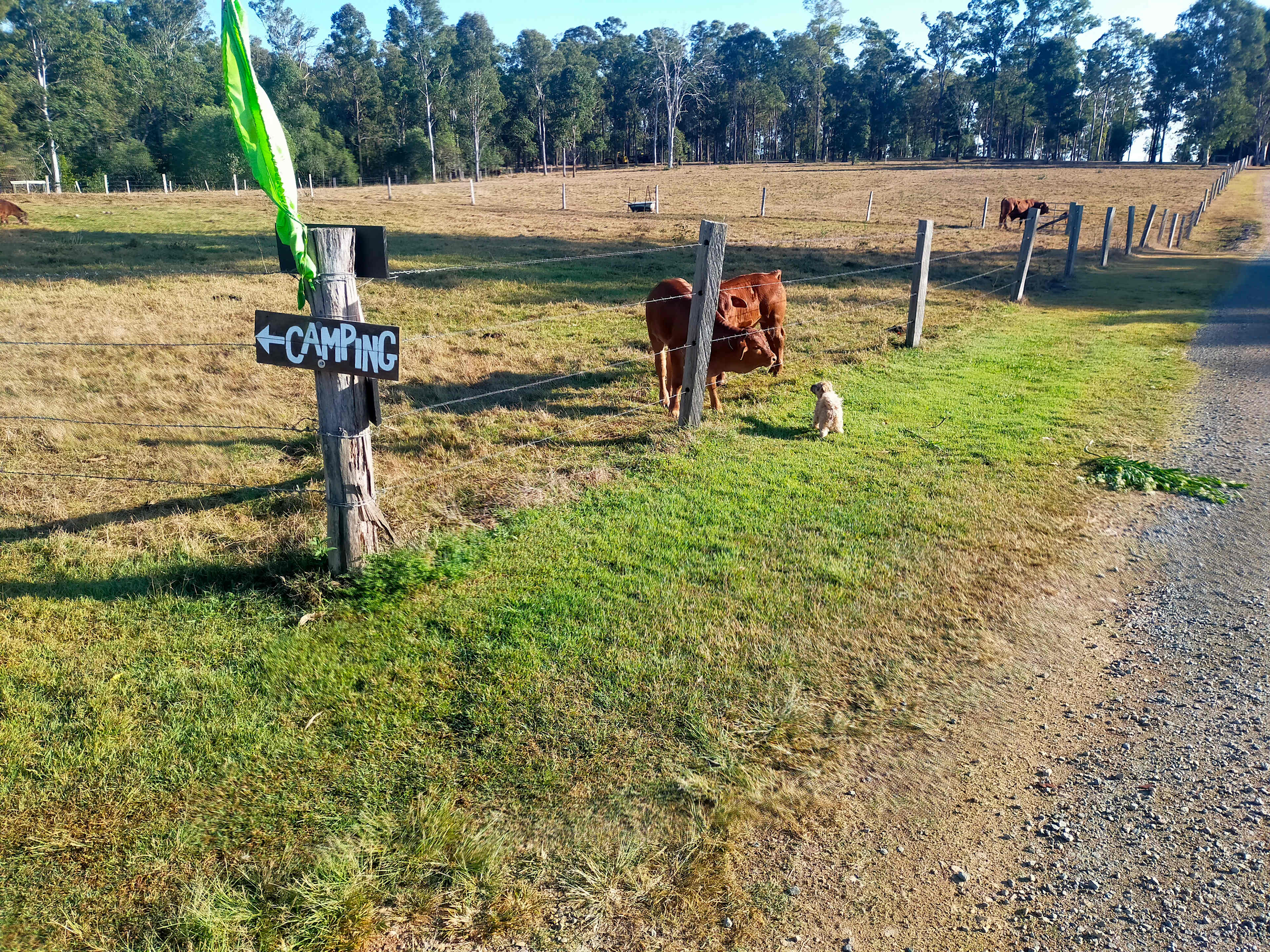 Picture of the site