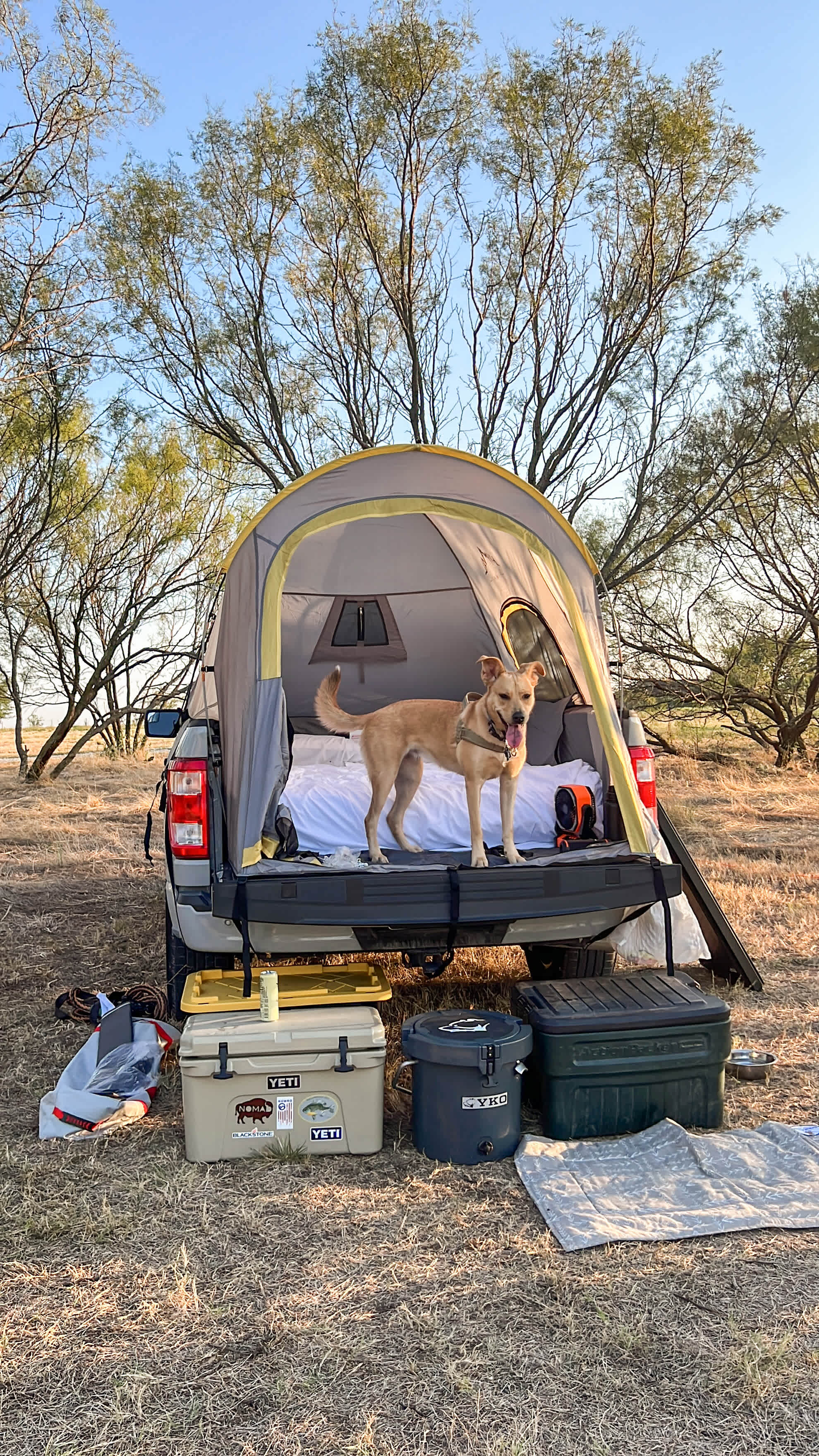 Riley loved 4G ranch!