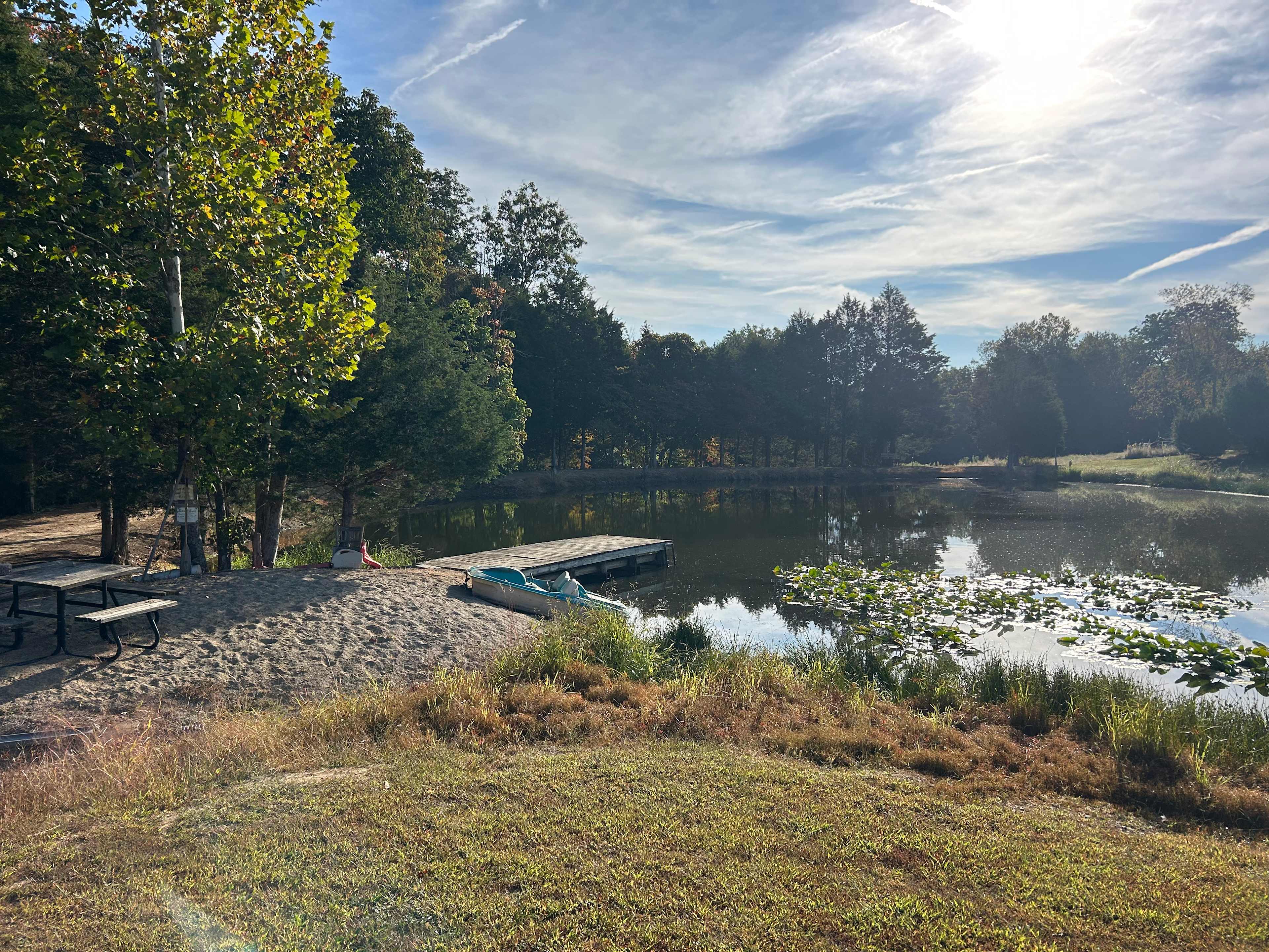 Picture of the site