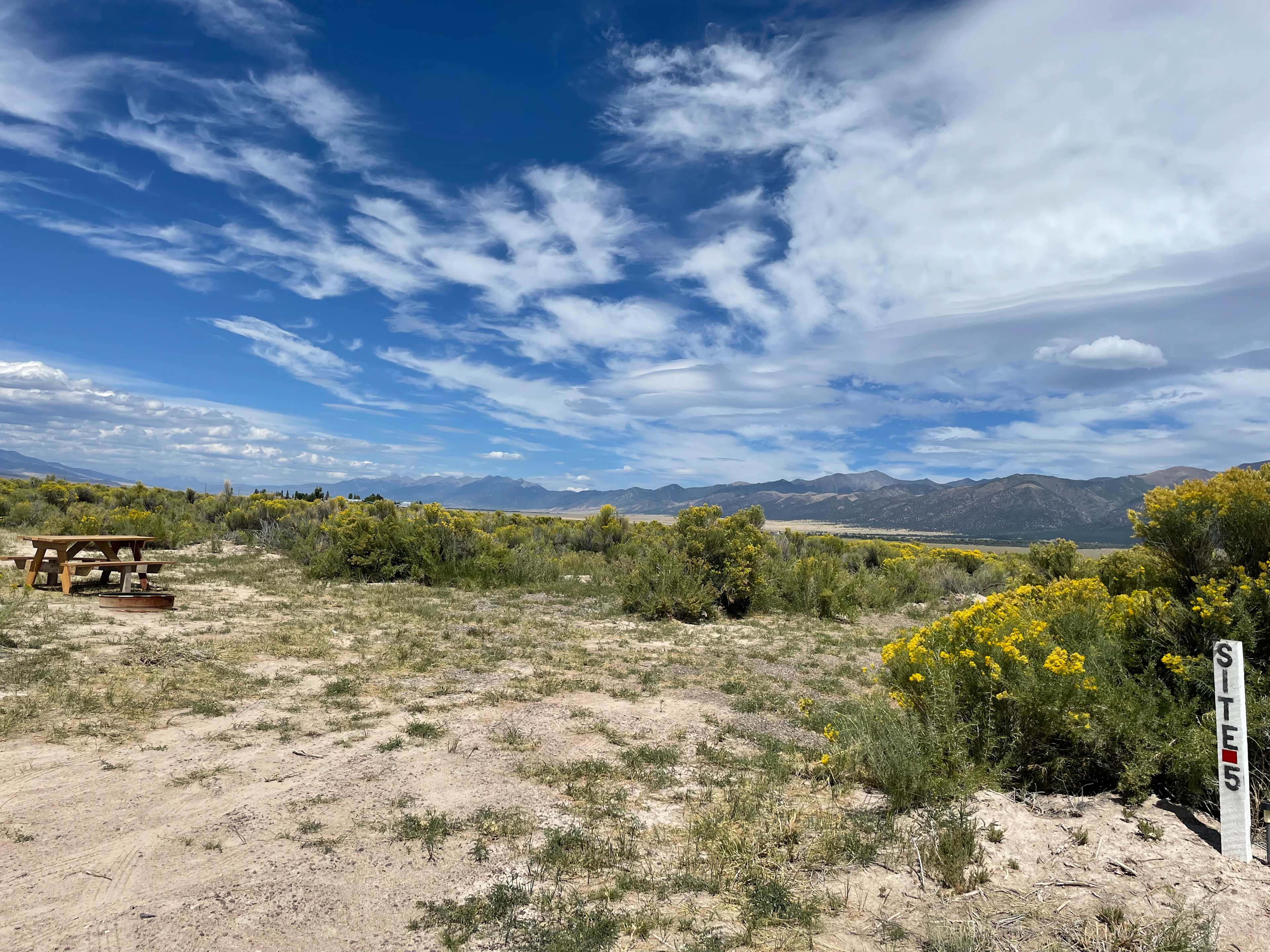 Picture of the site