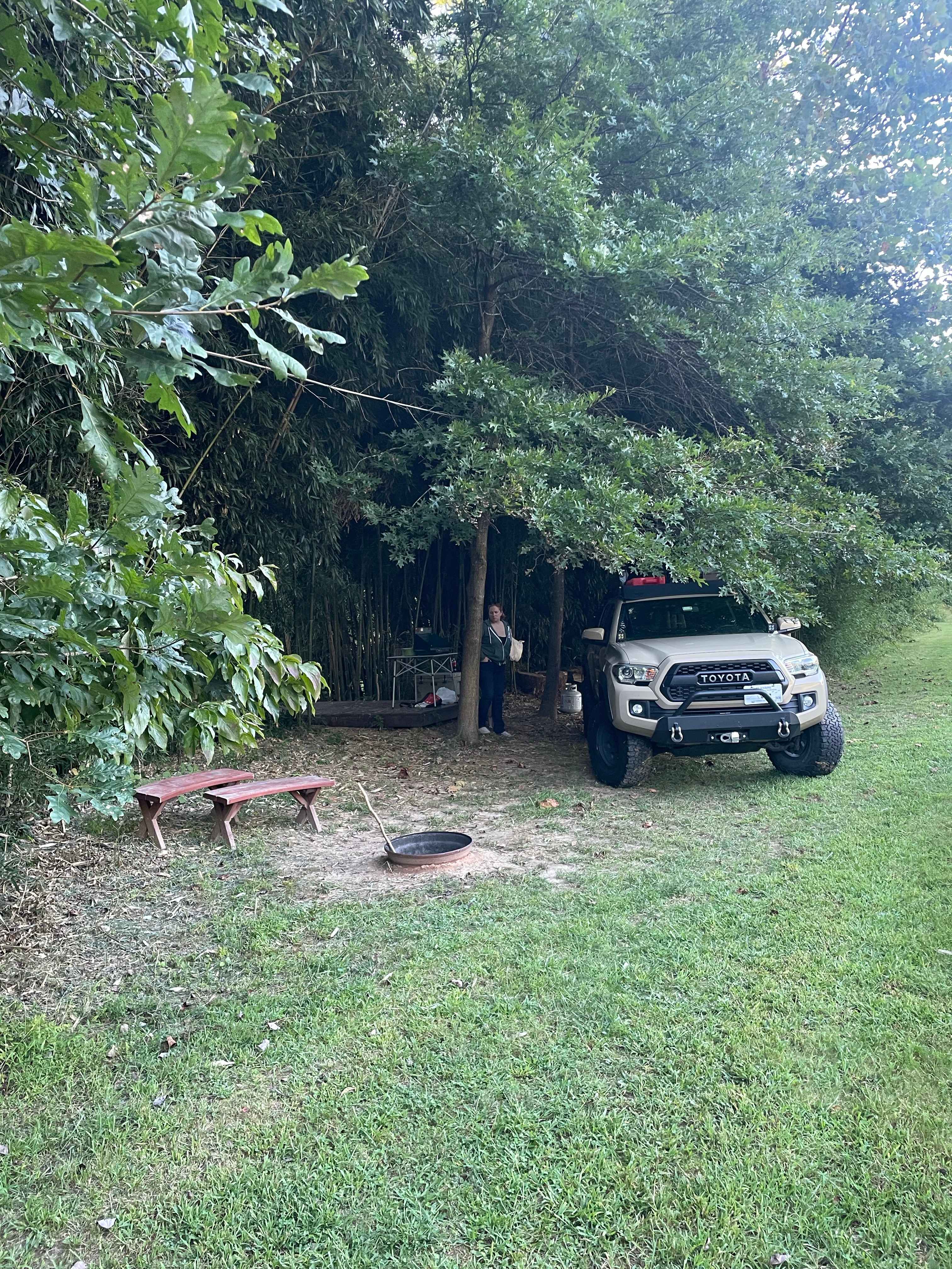 Picture of the site