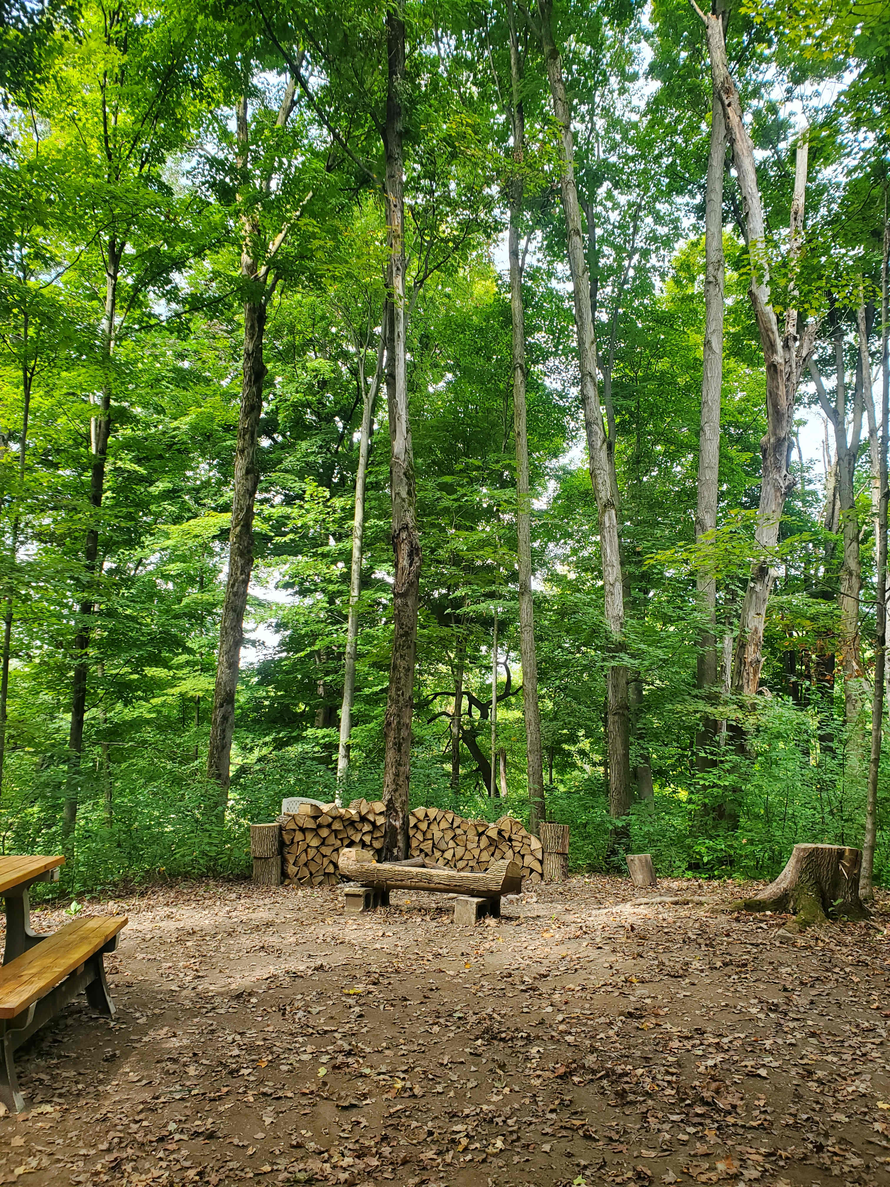 Picture of the site