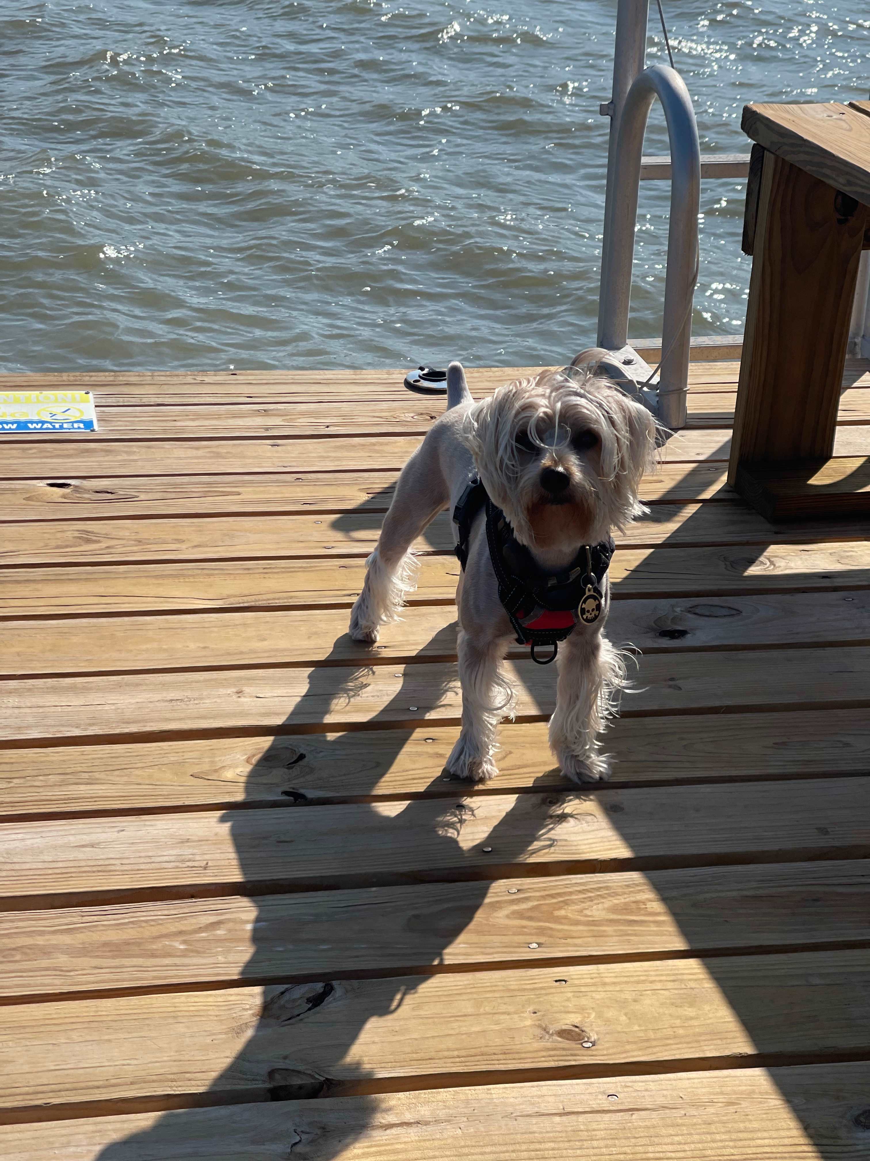 BayRock Retreat at Copano Bay