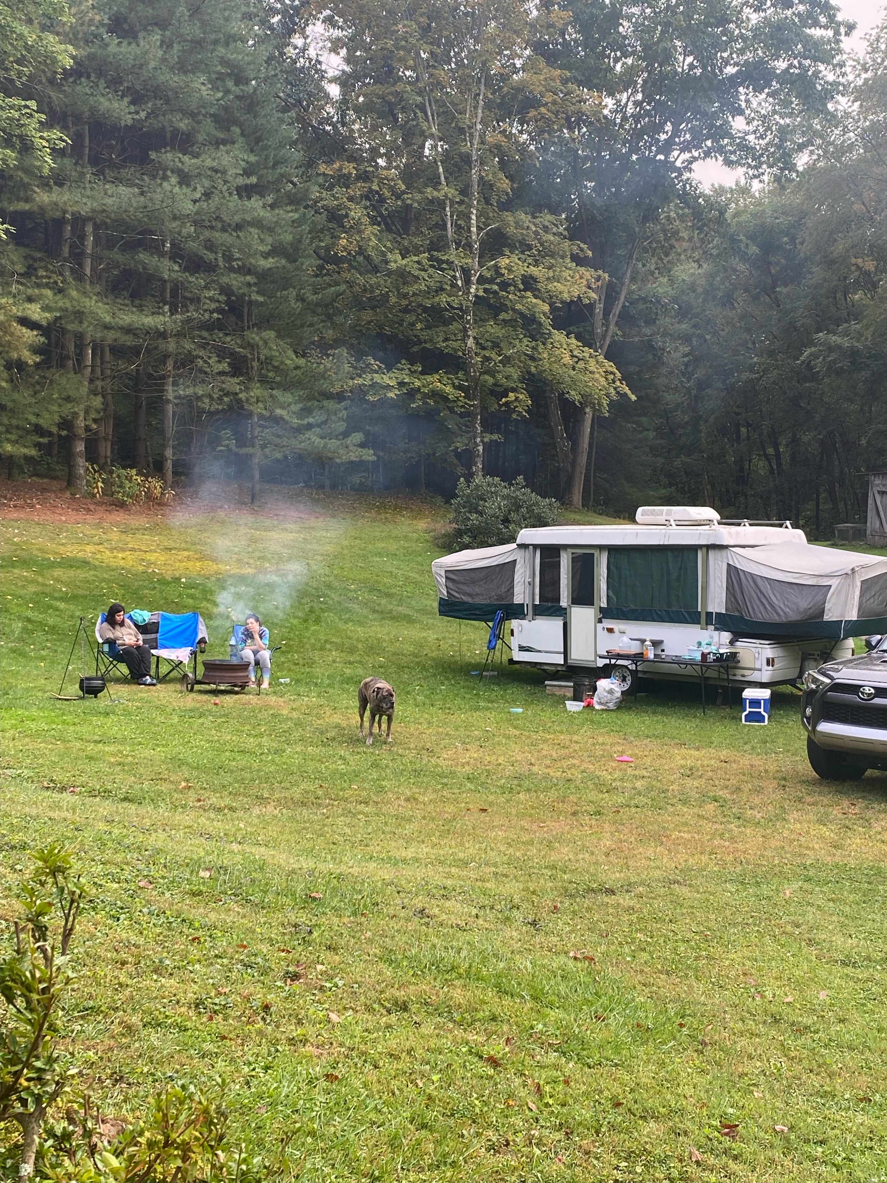 Picture of the site