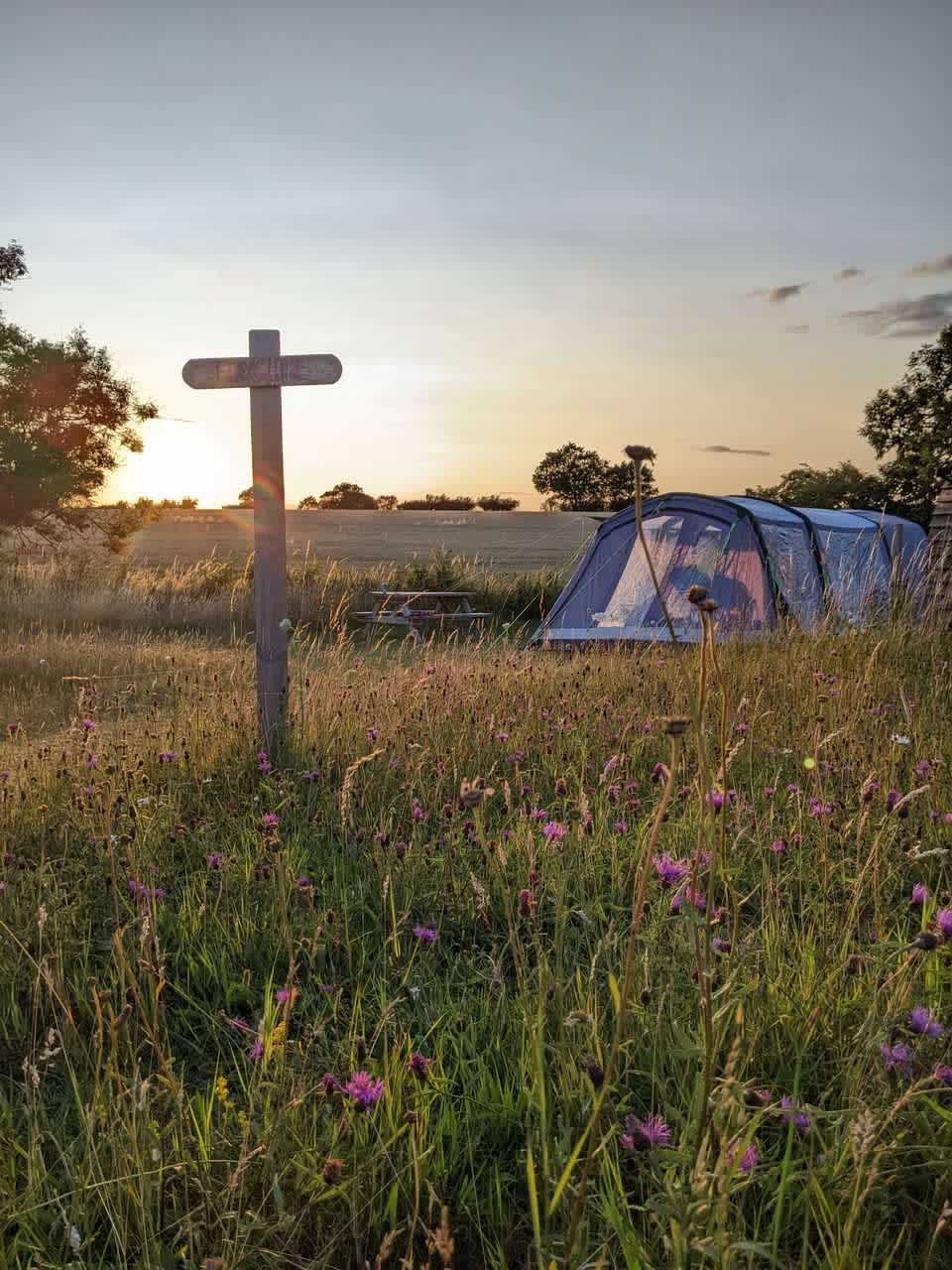 Finchingfield Lavender & Camping
