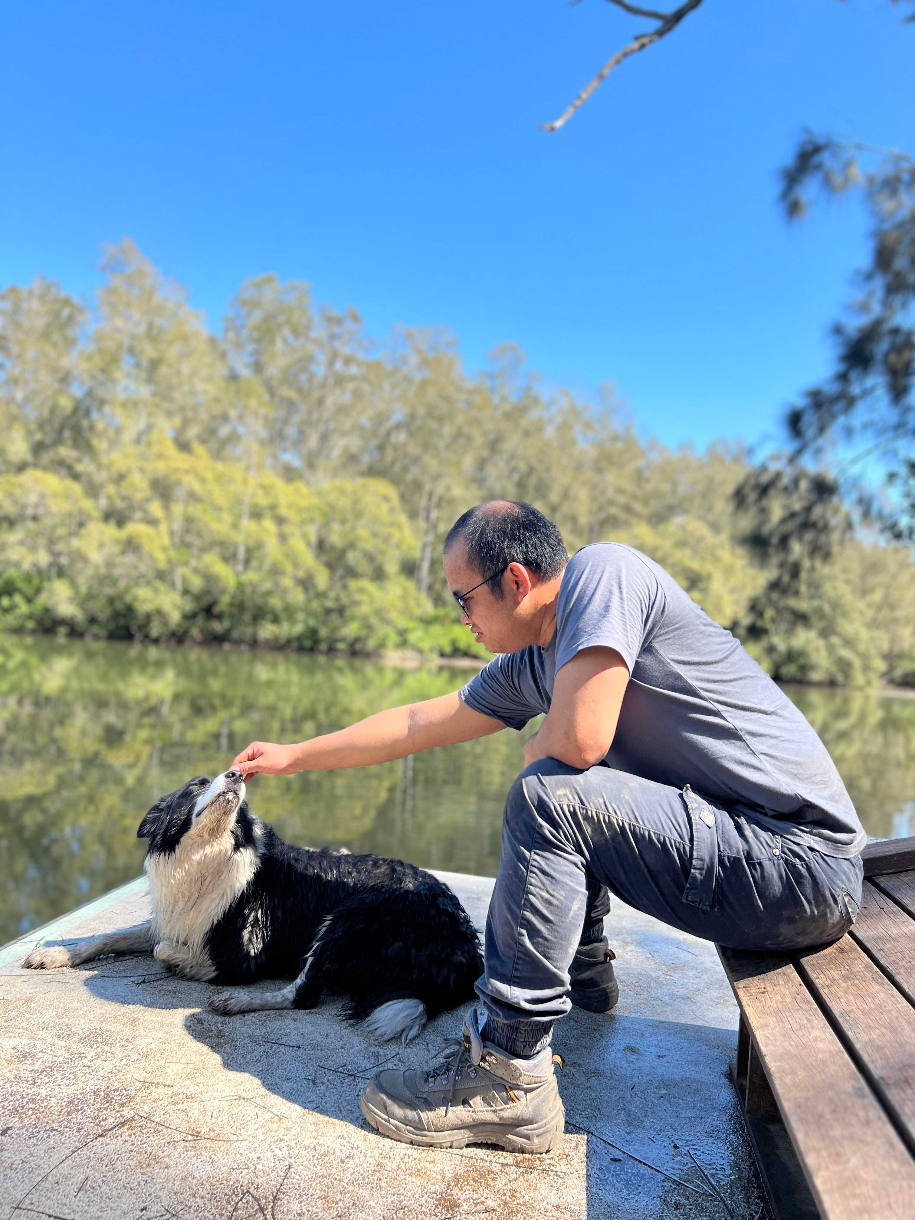 Can bring dog, pet allowed 