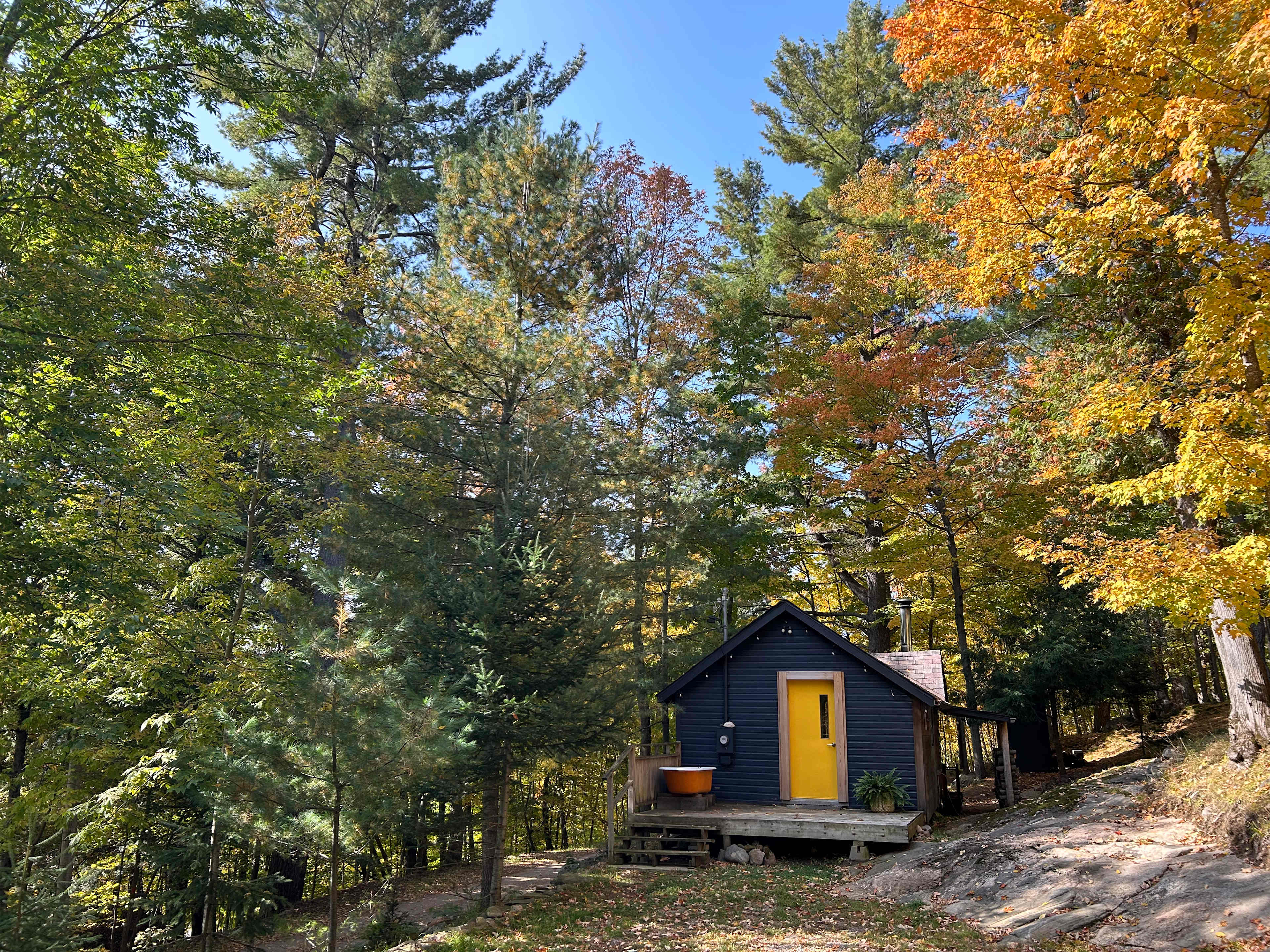 Simple Cabin in town