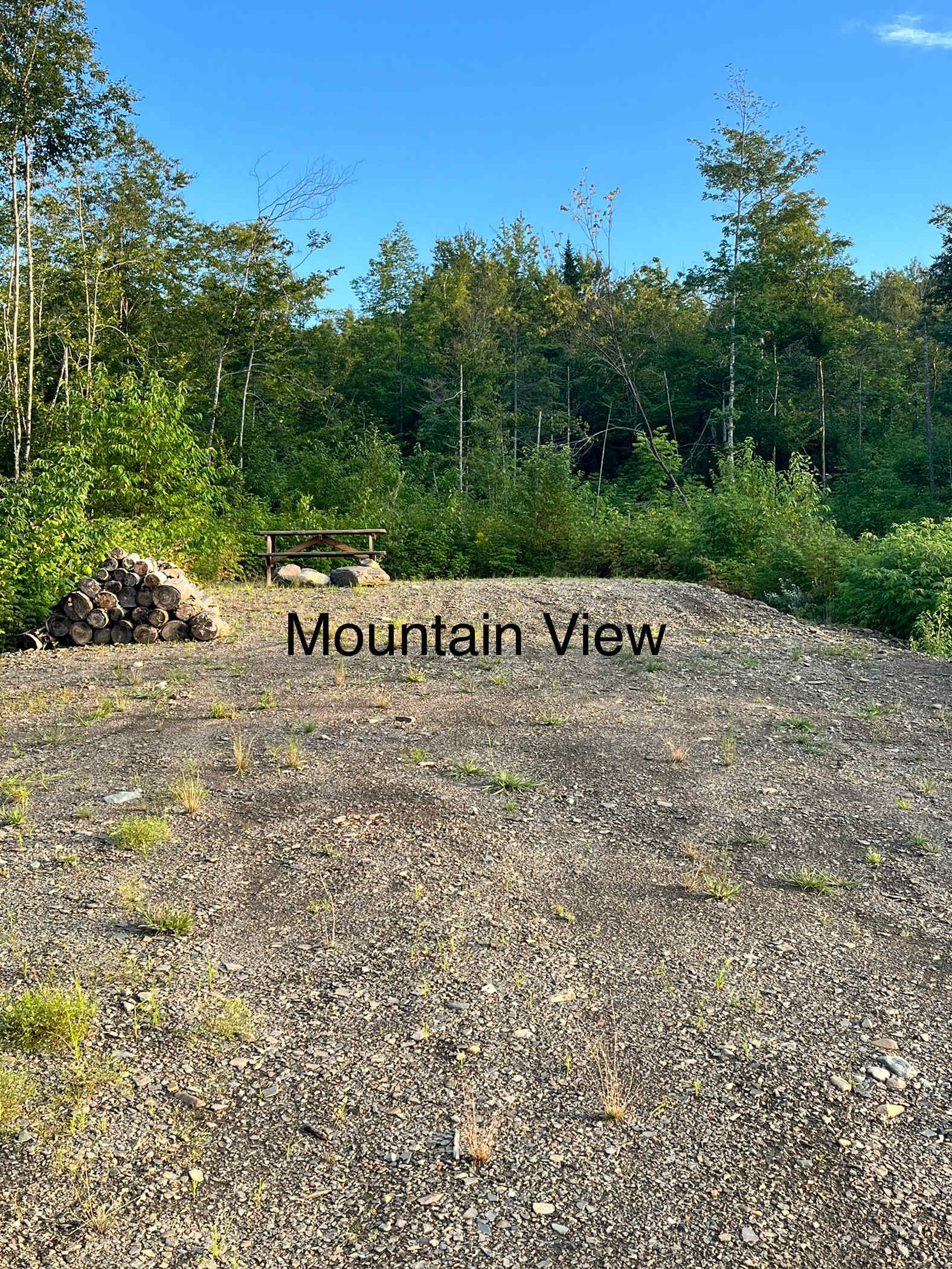 Picture of the site