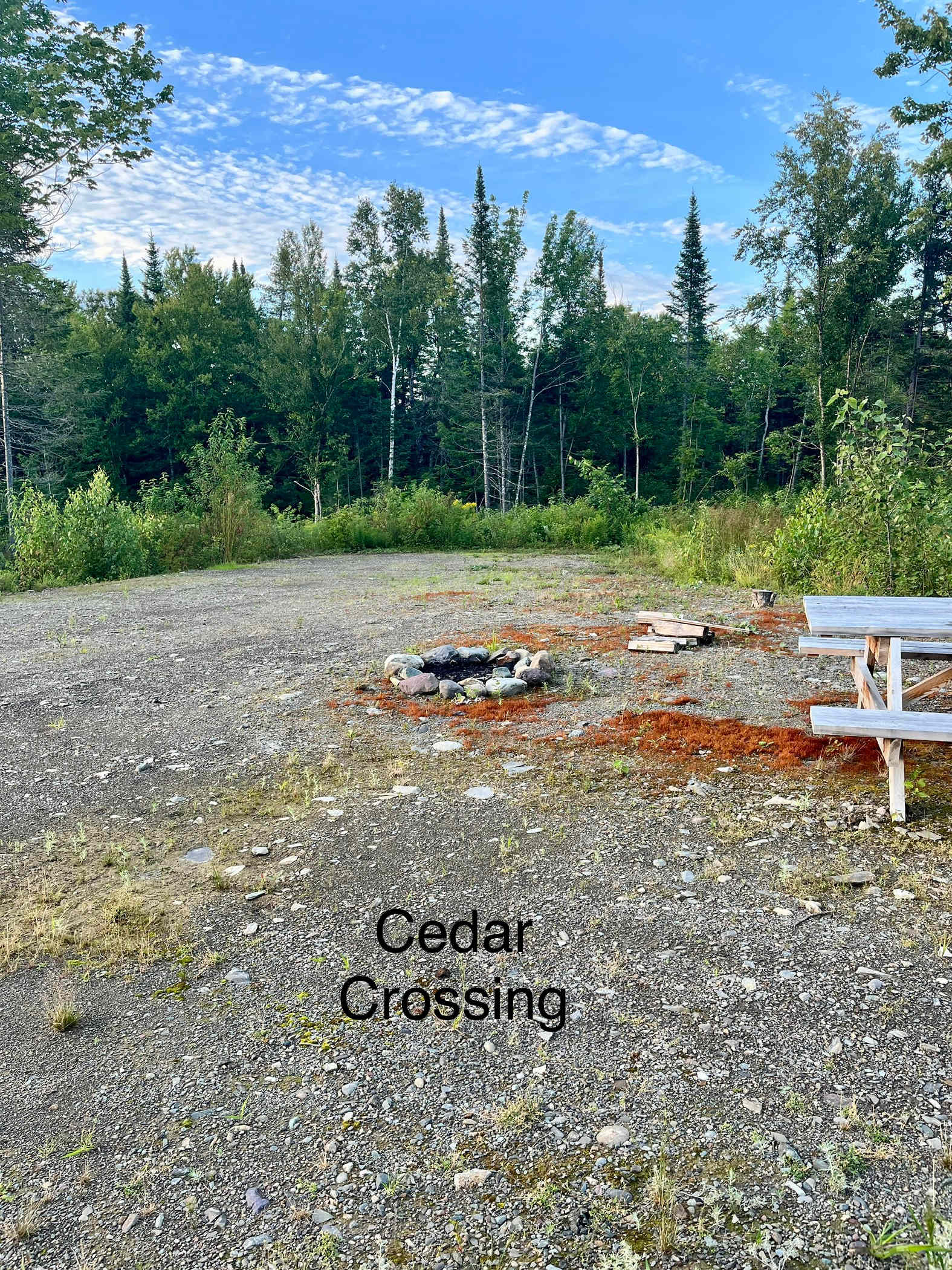 Picture of the site