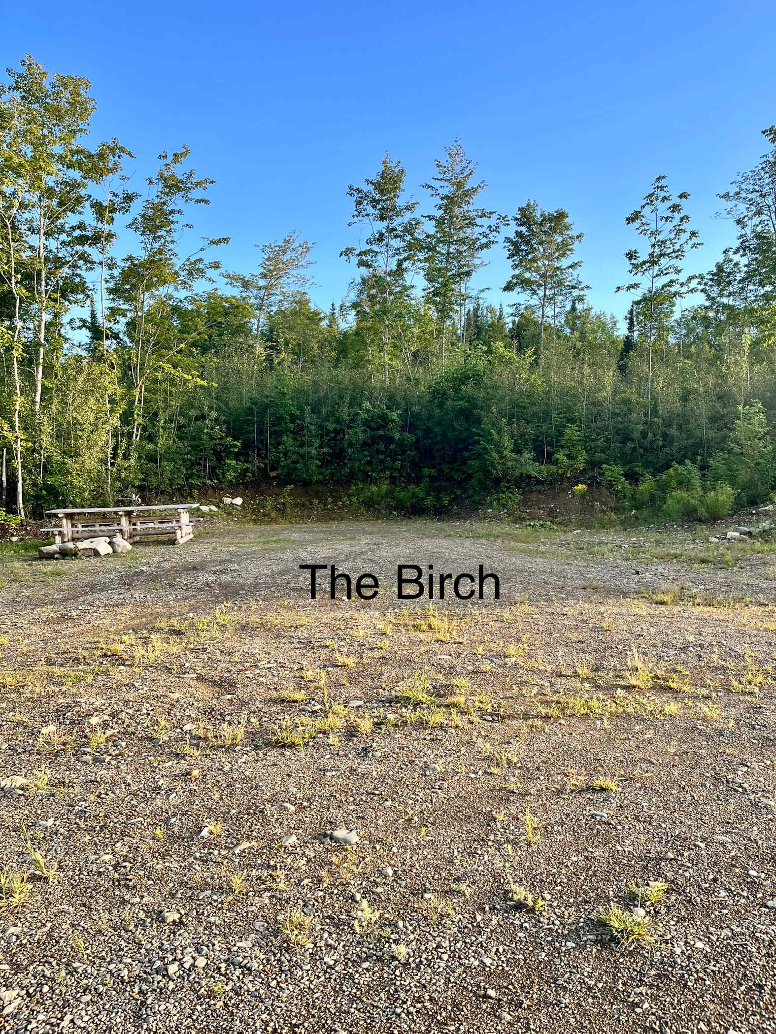 Picture of the site