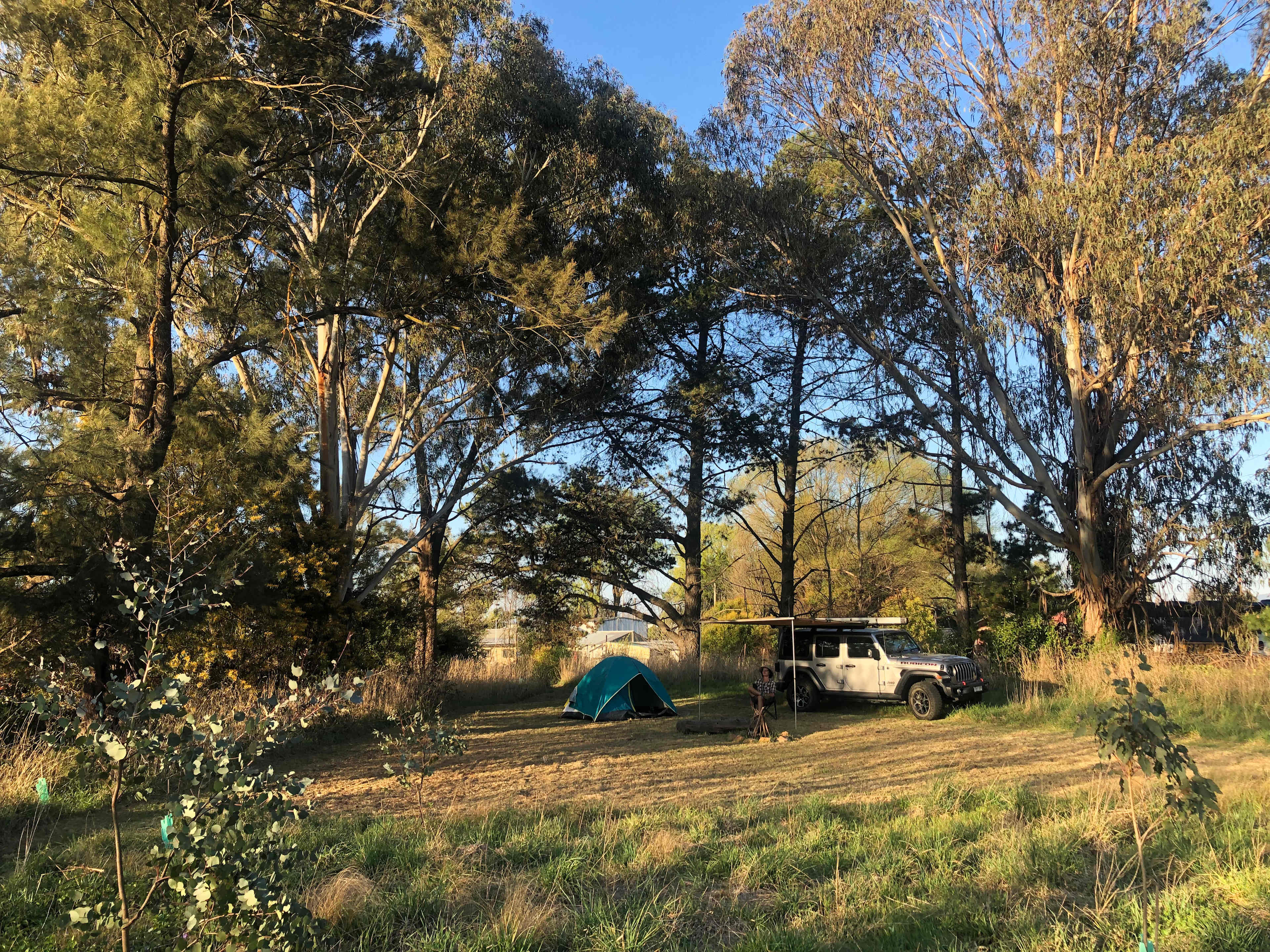 3 Veg Farm Bathurst
