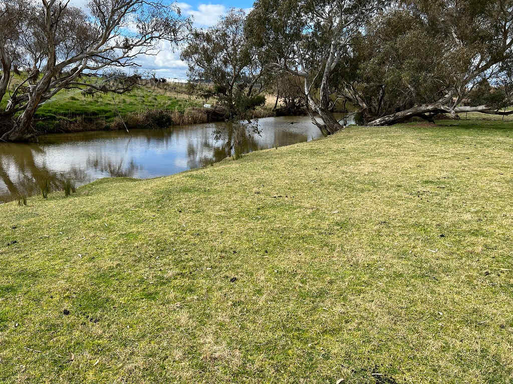 2 camp spots at this spot (Campers Riverside Retreat EAST & WEST), 2 other camp spots available near here in another paddock. 