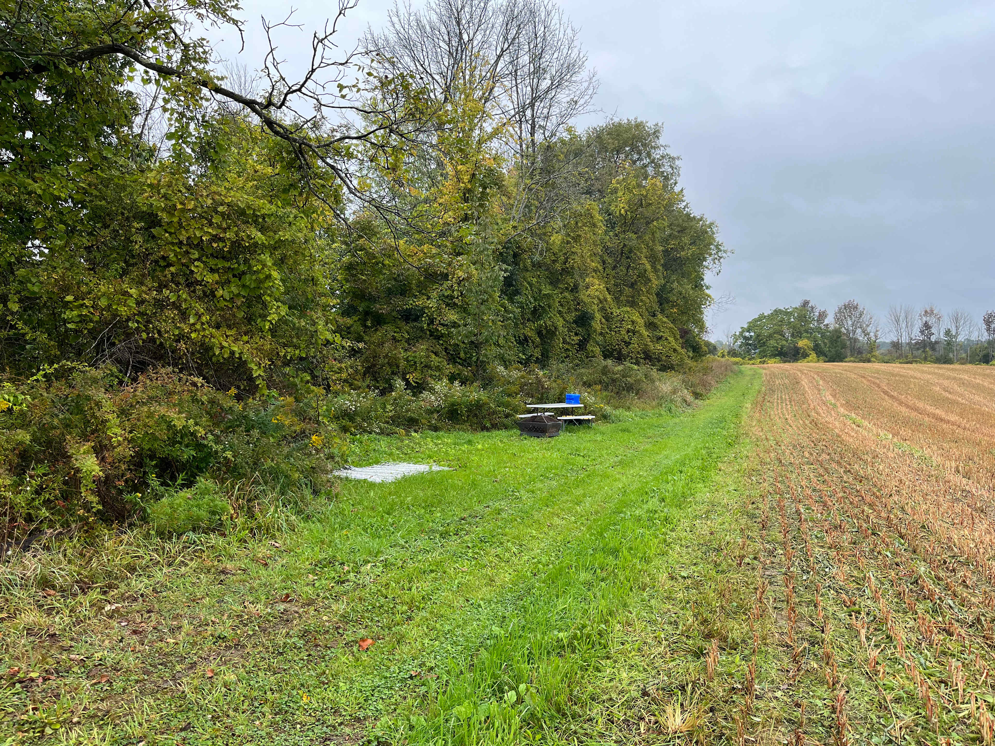 Picture of the site