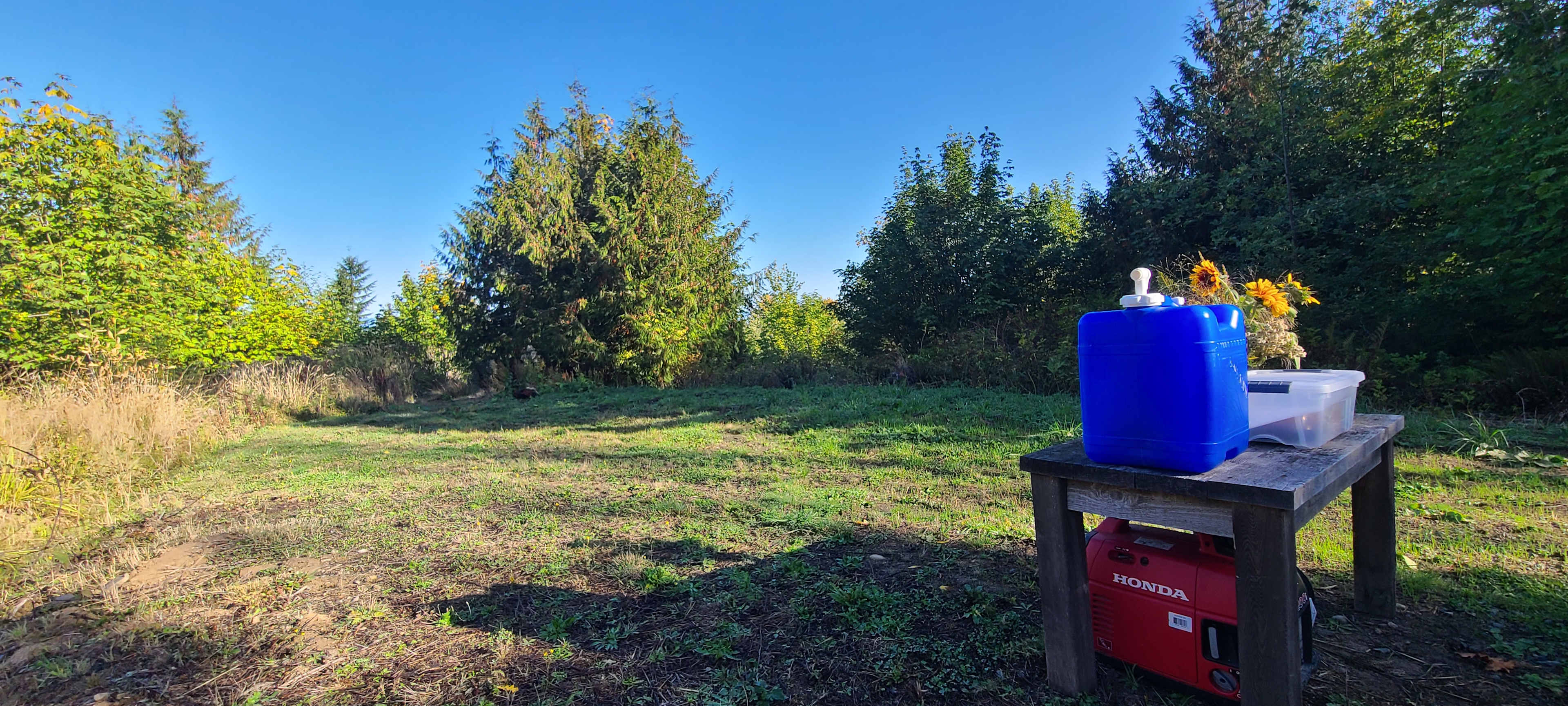 Picture of the site