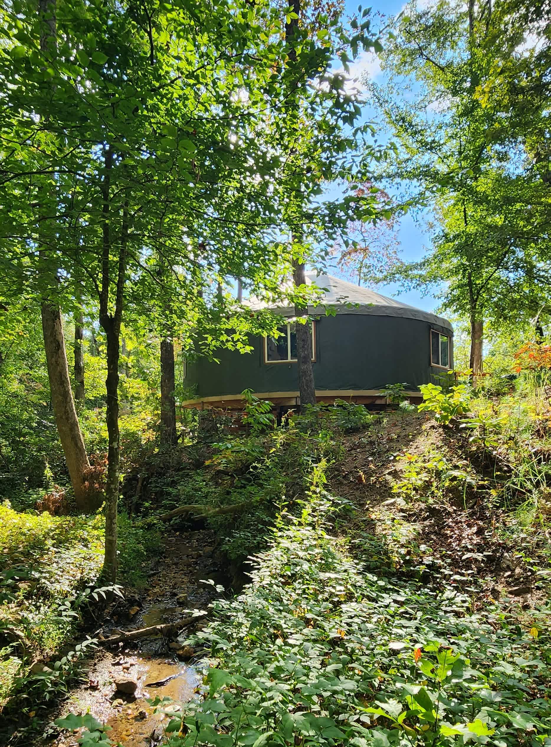 Picture of the site