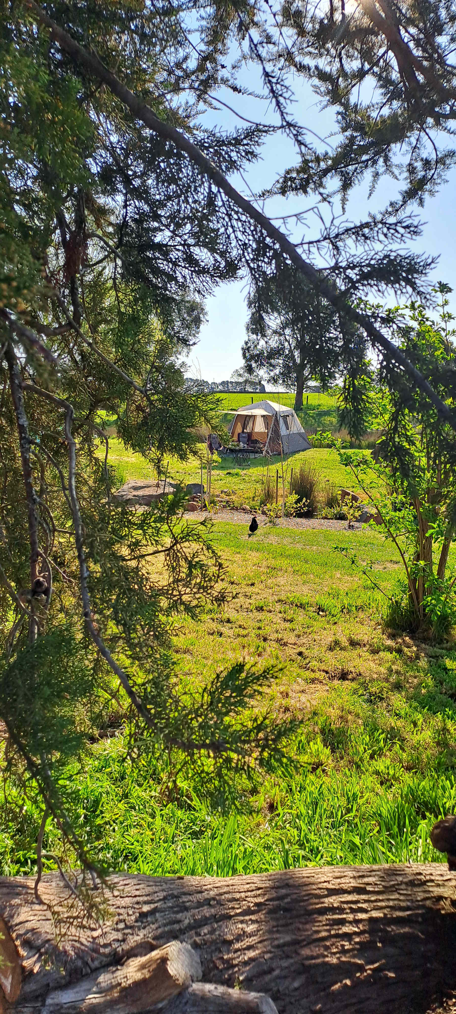 Picture of the site