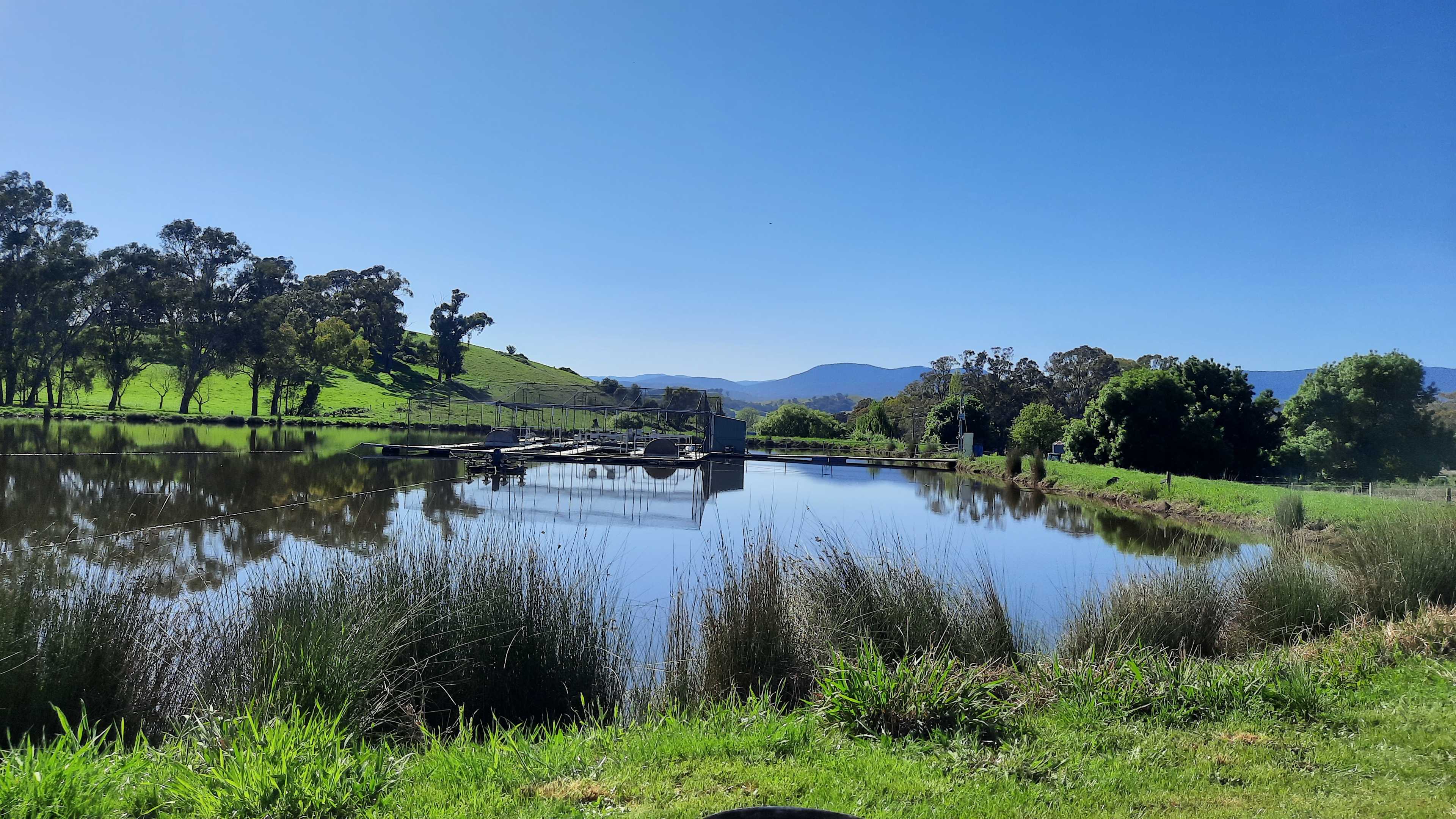 Glenwaters Farmstays