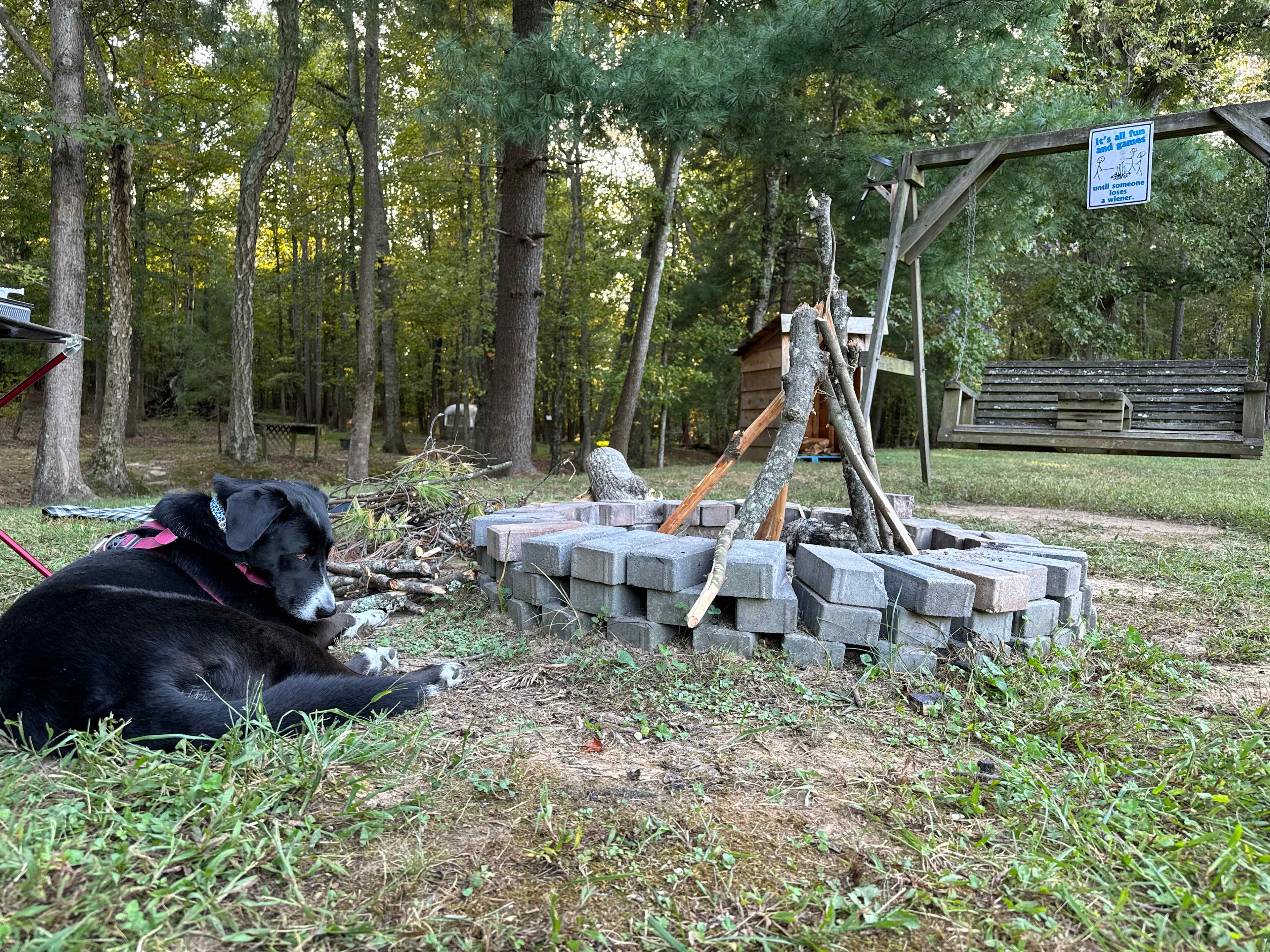 Picture of the site