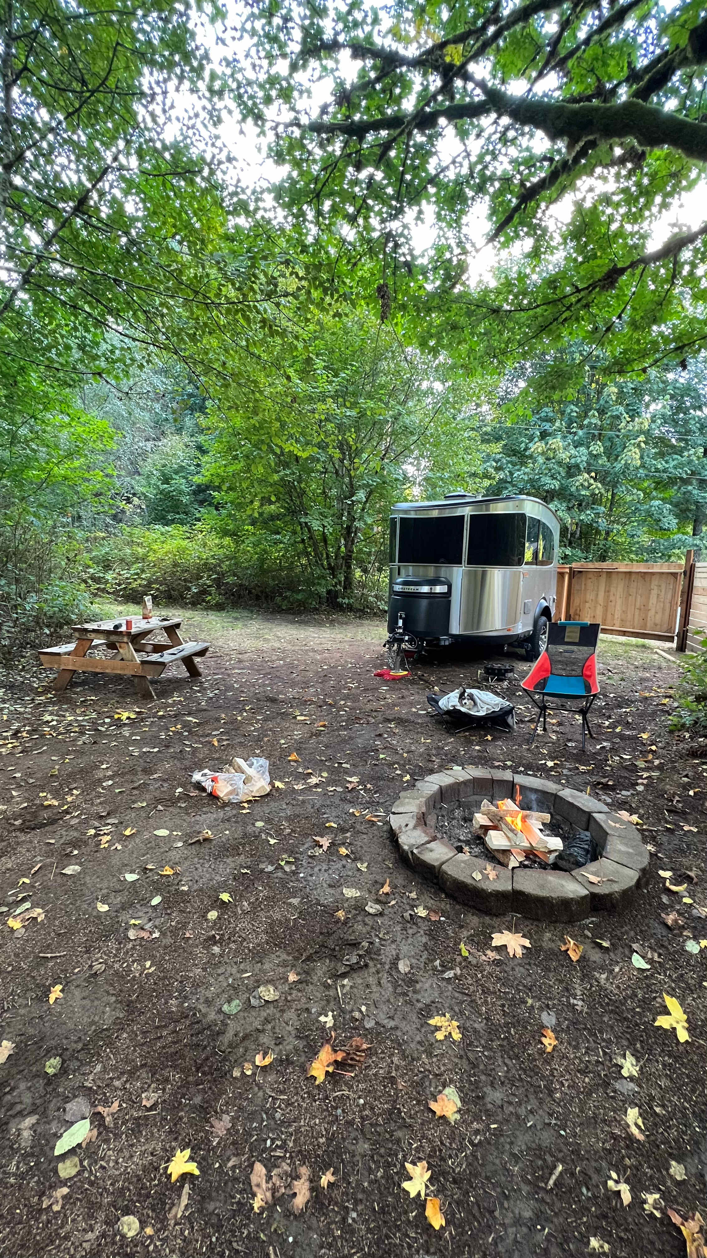 Picture of the site