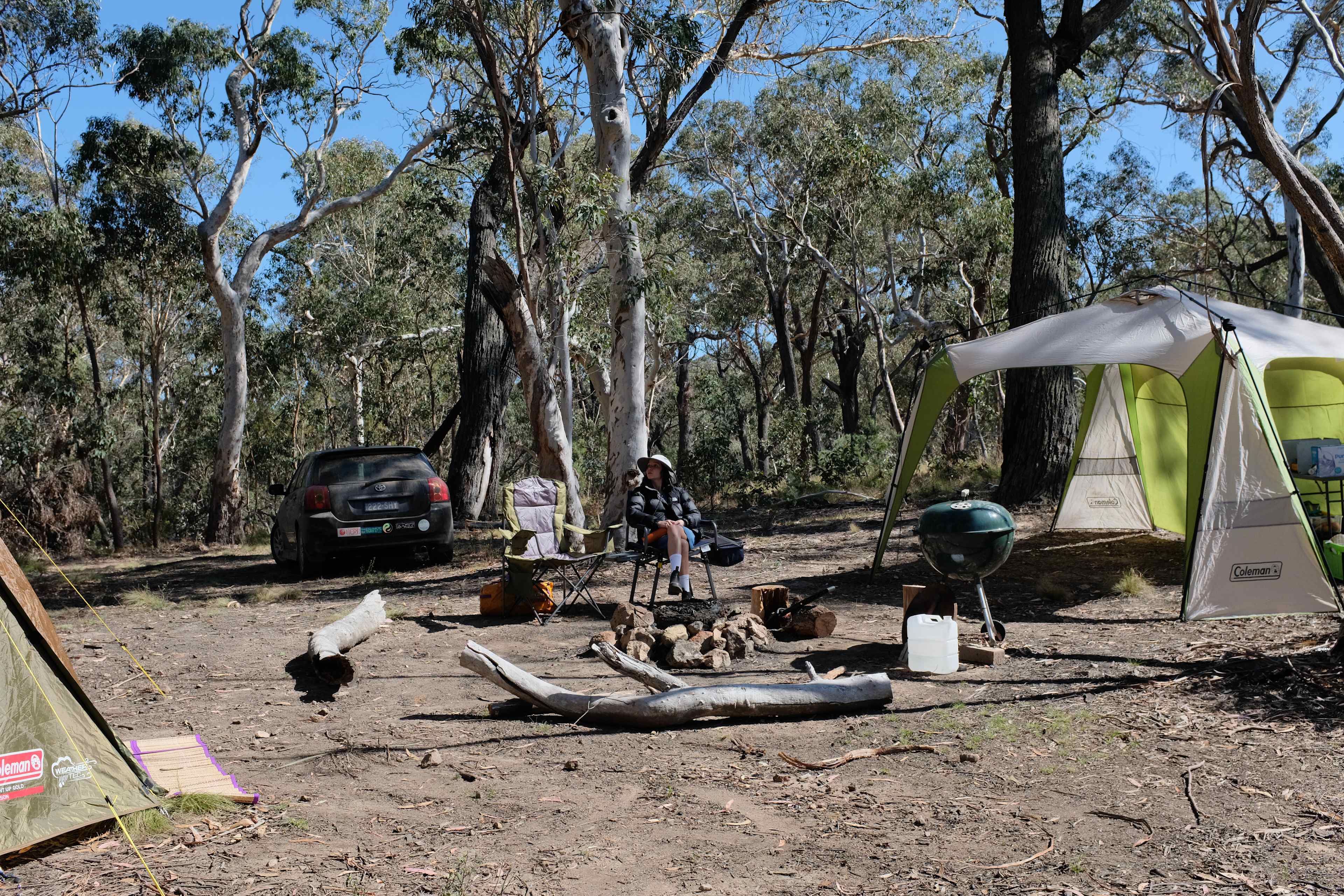Picture of the site