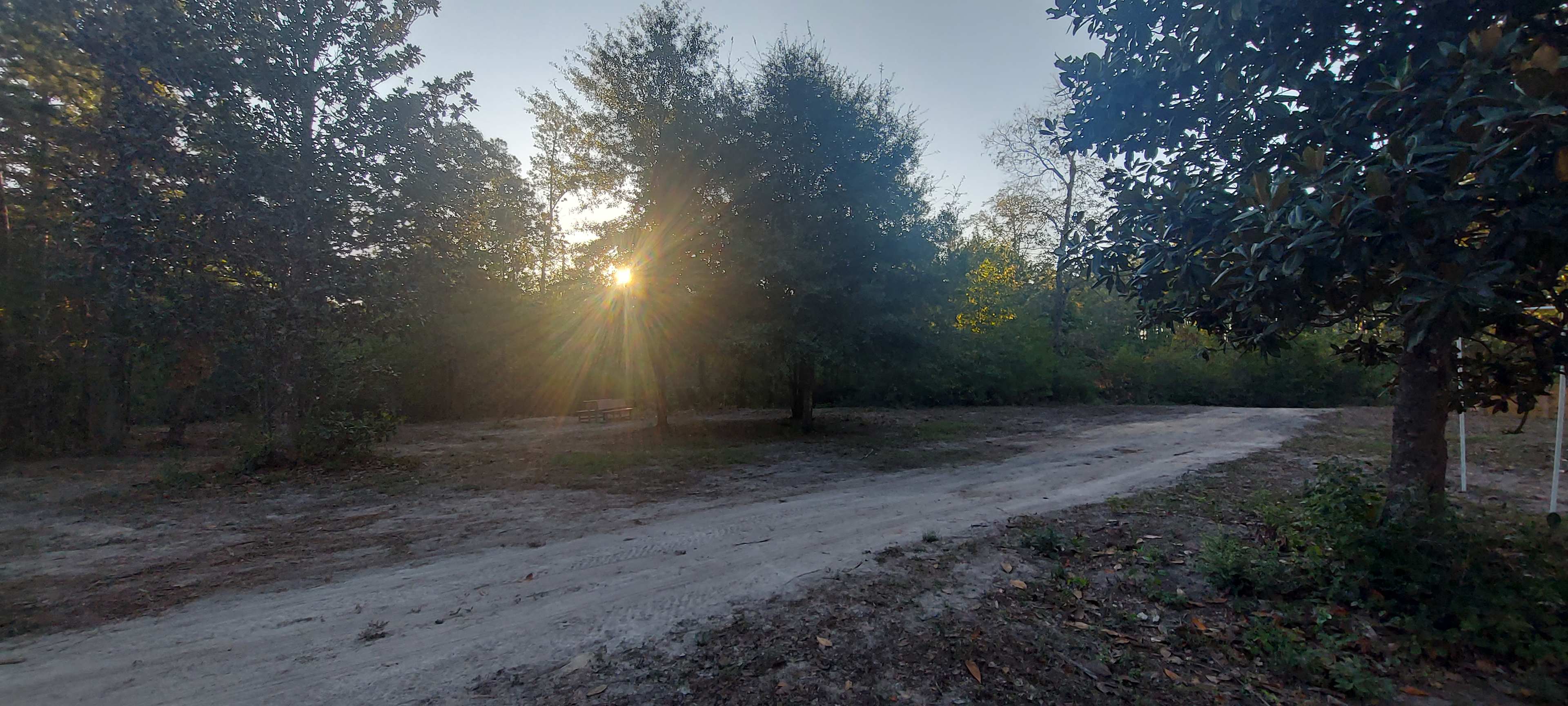 Picture of the site