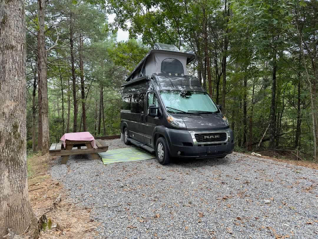 Picture of the site