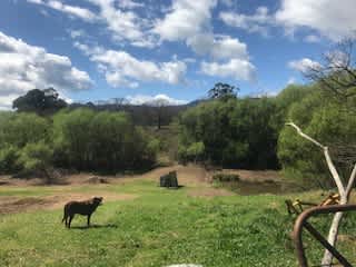 Running Creek Retreat