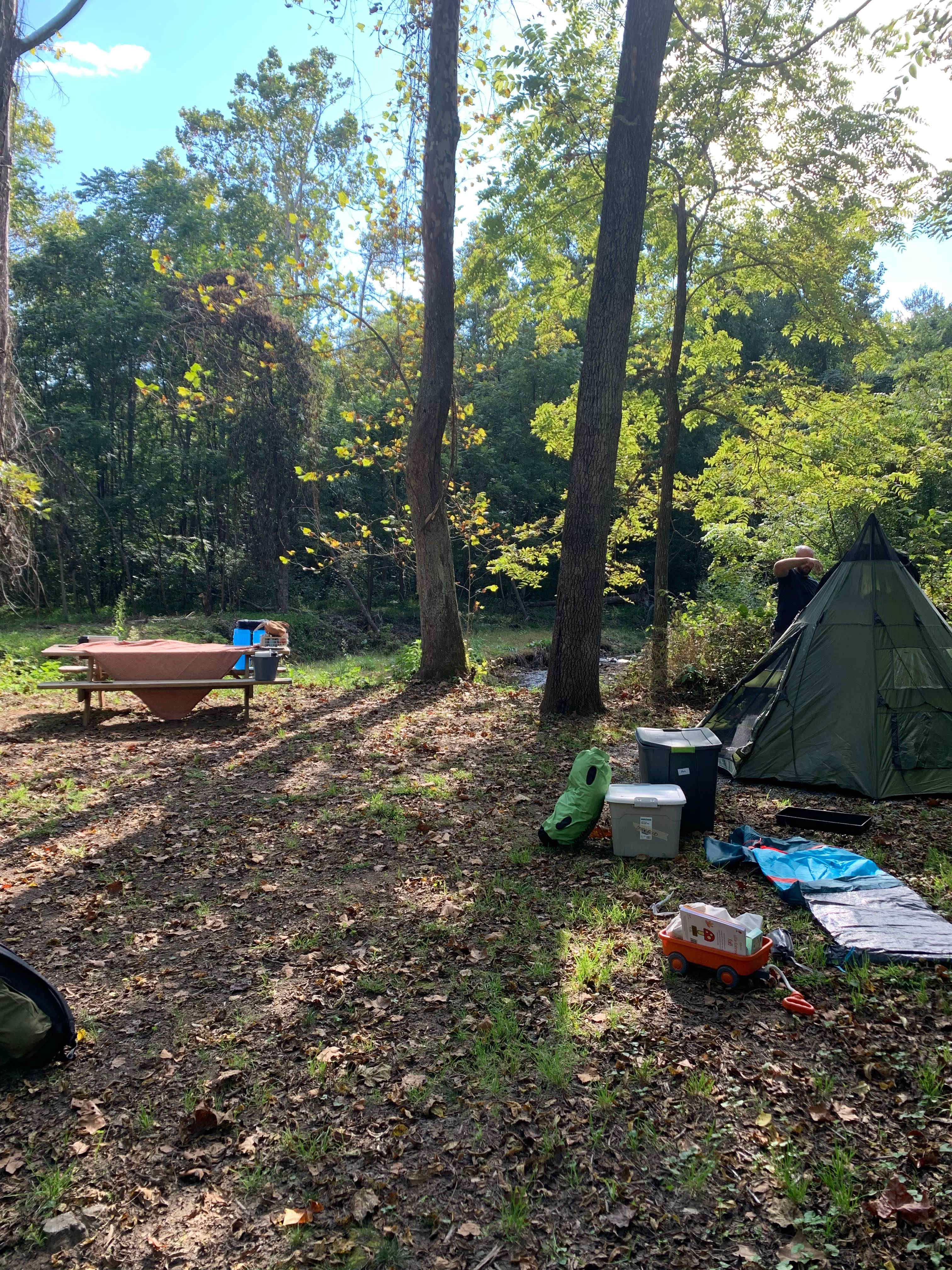 Picture of the site