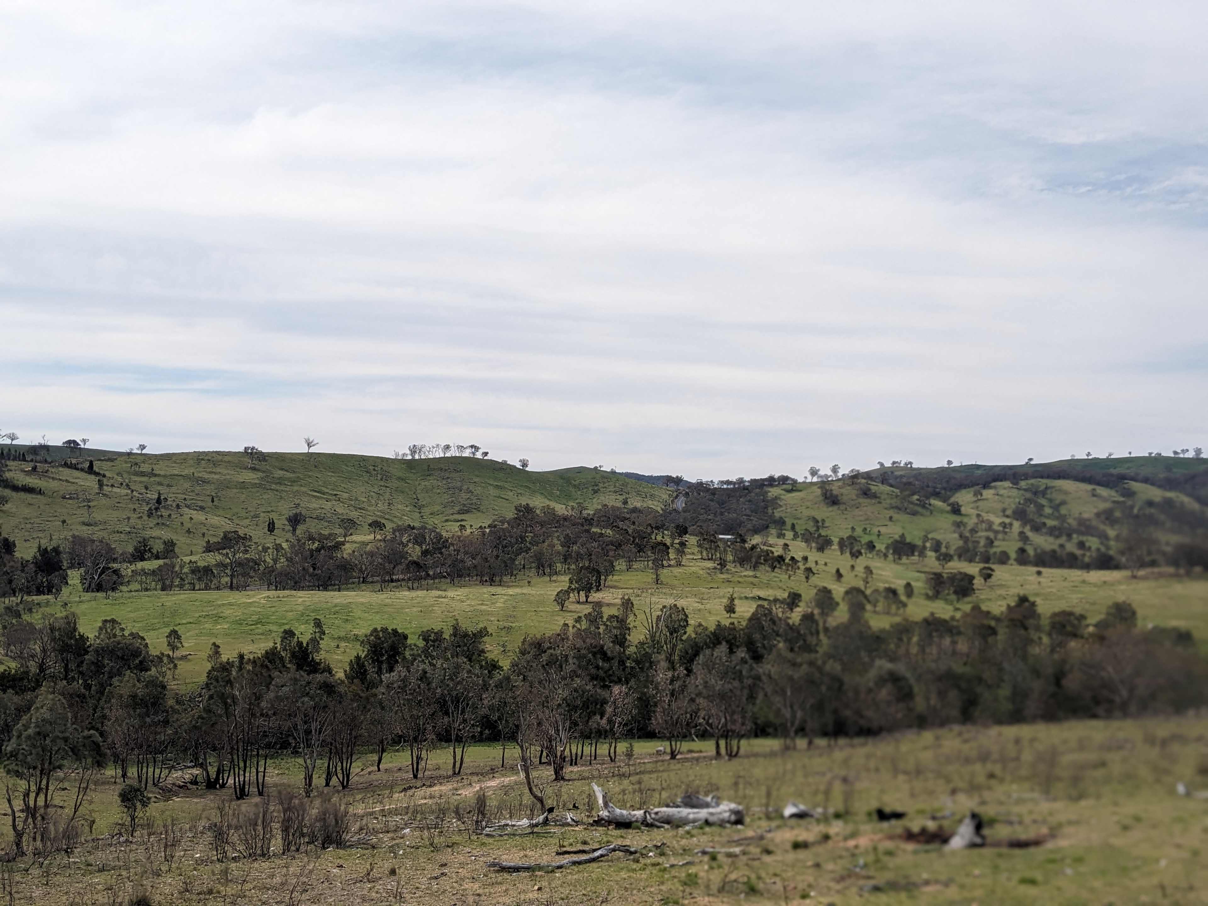 Tallarook