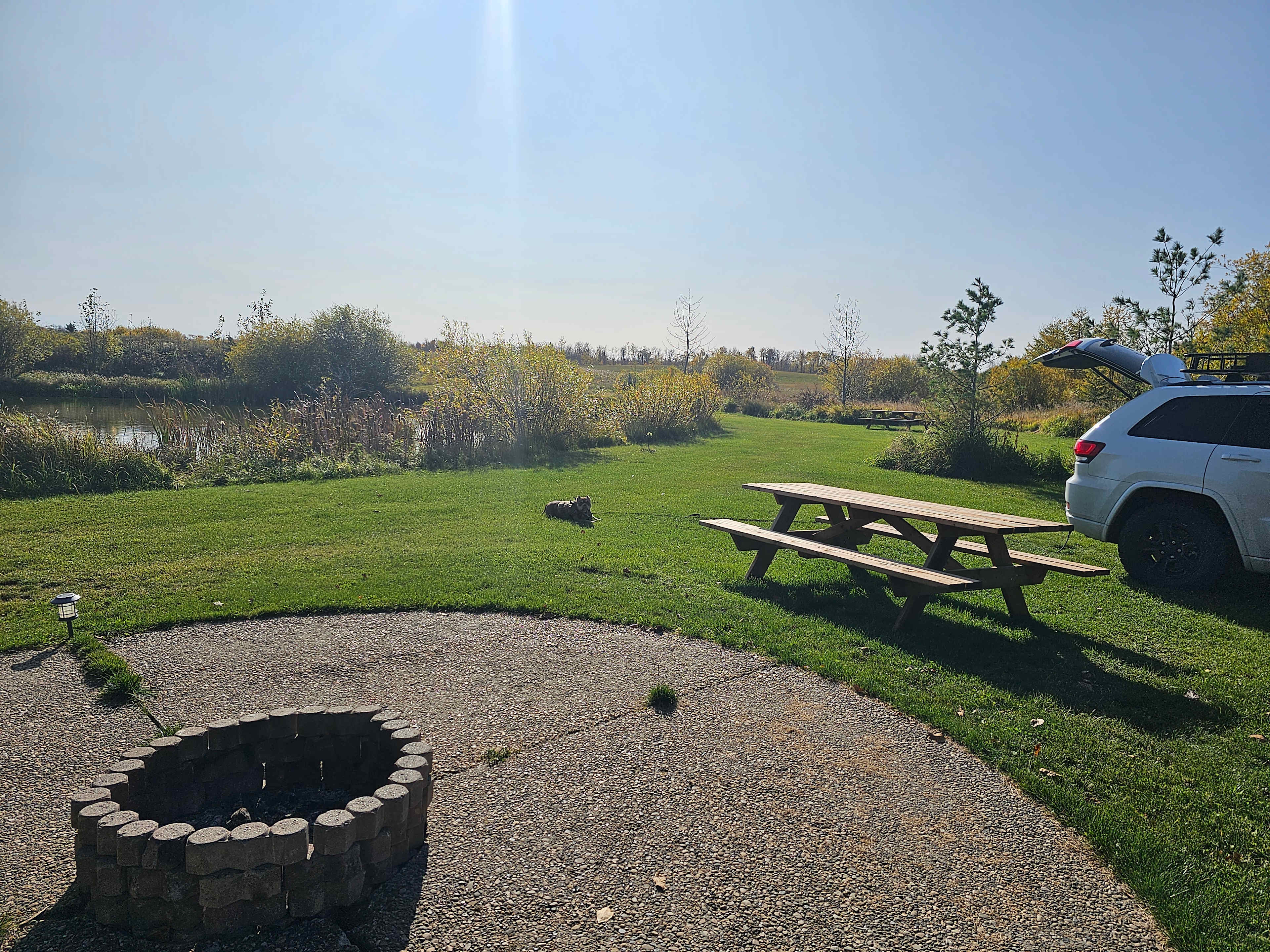 Picture of the site