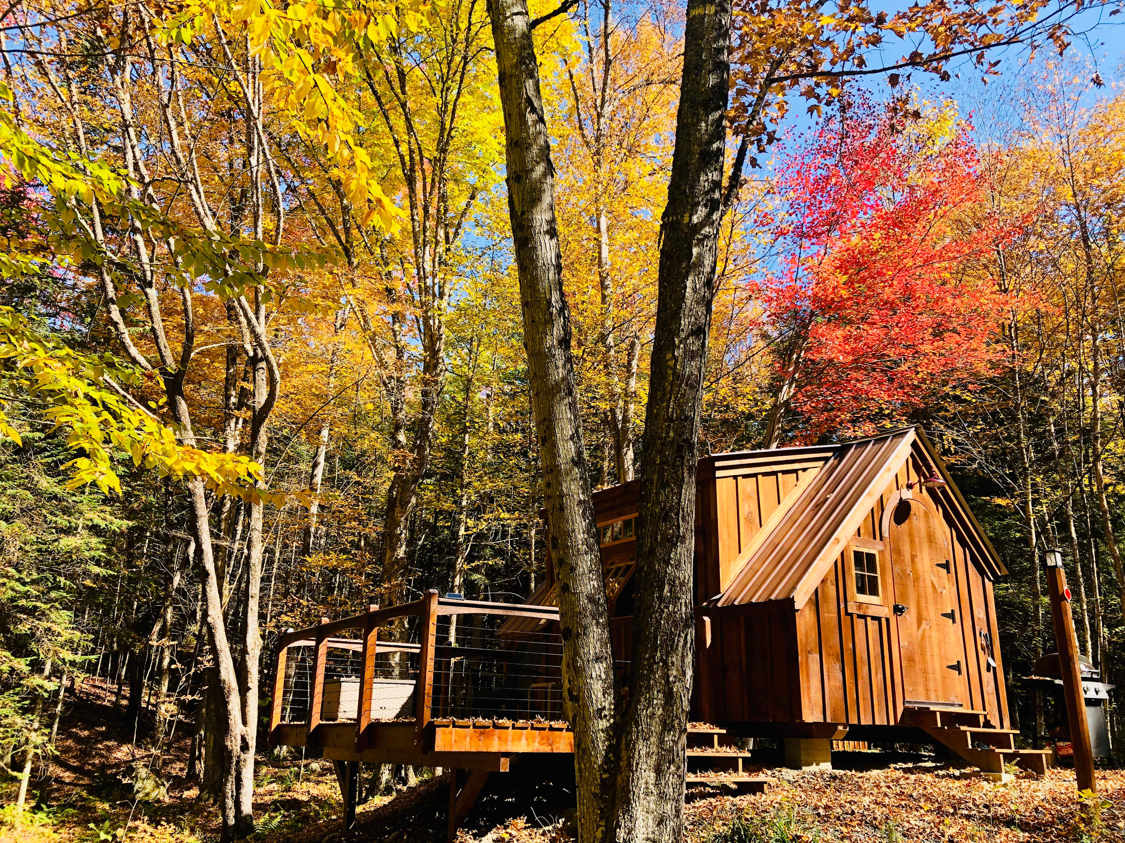 Mt Baker Tiny Cabin