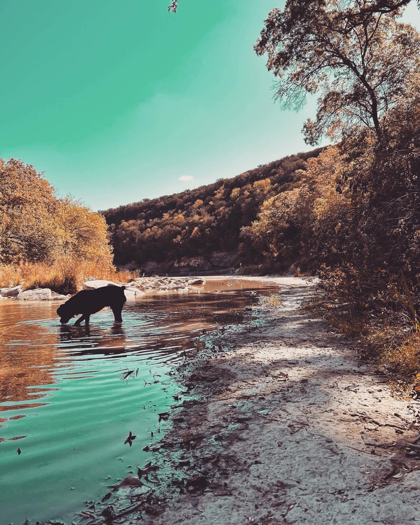 Pecans on the Paluxy - River Views