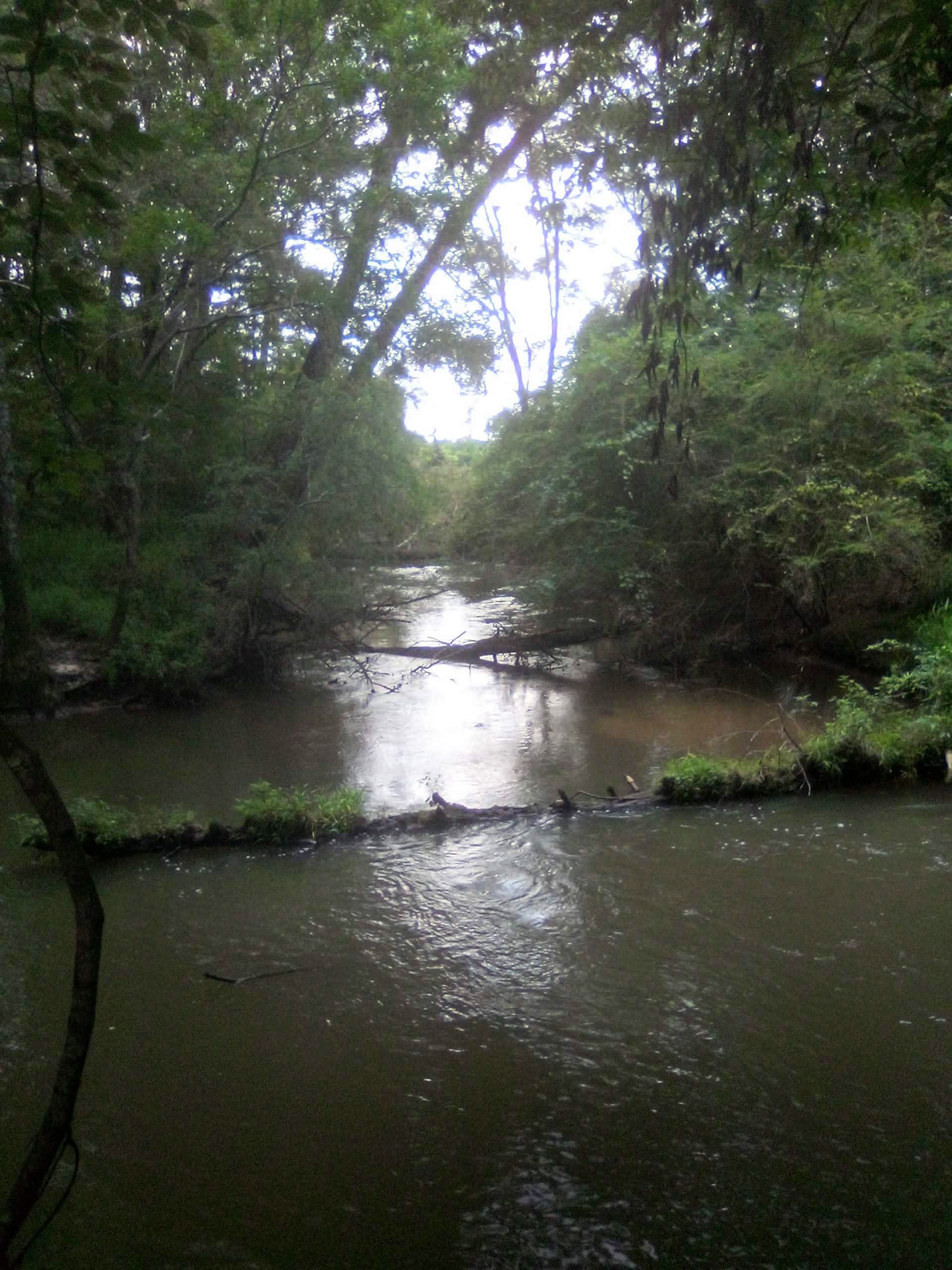 Tickfaw River cabin resort