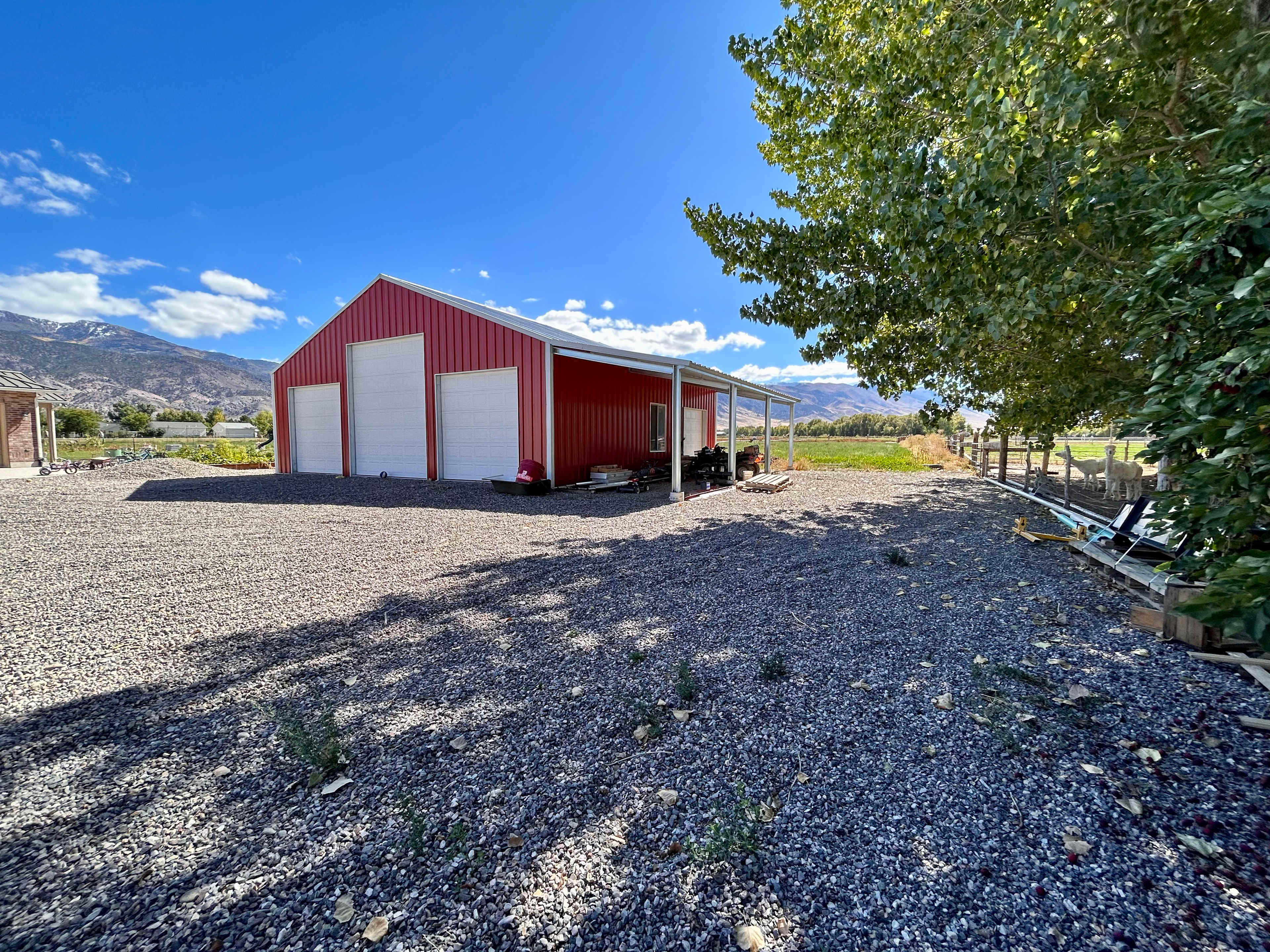 Mountain View Farm