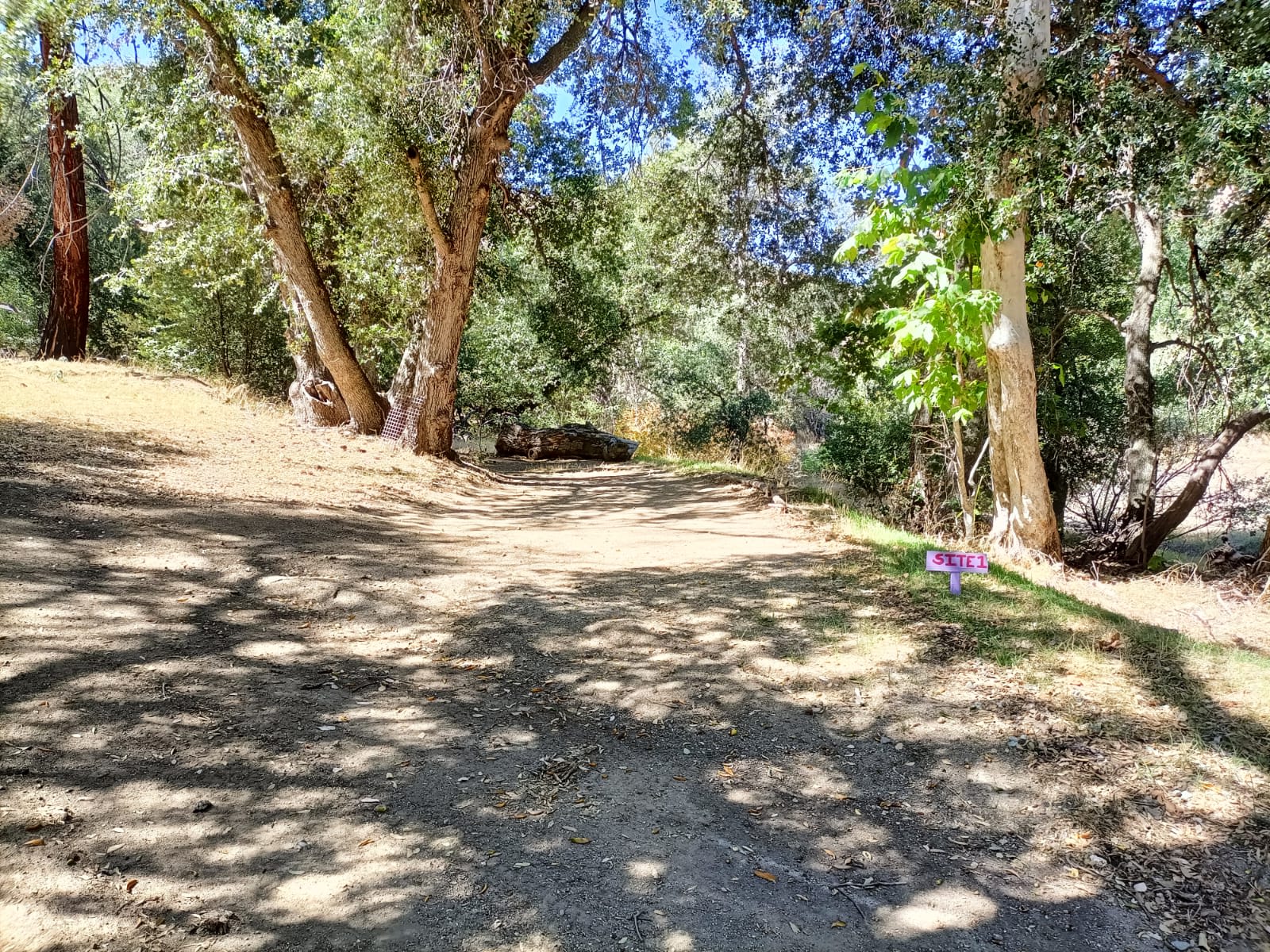 Picture of the site