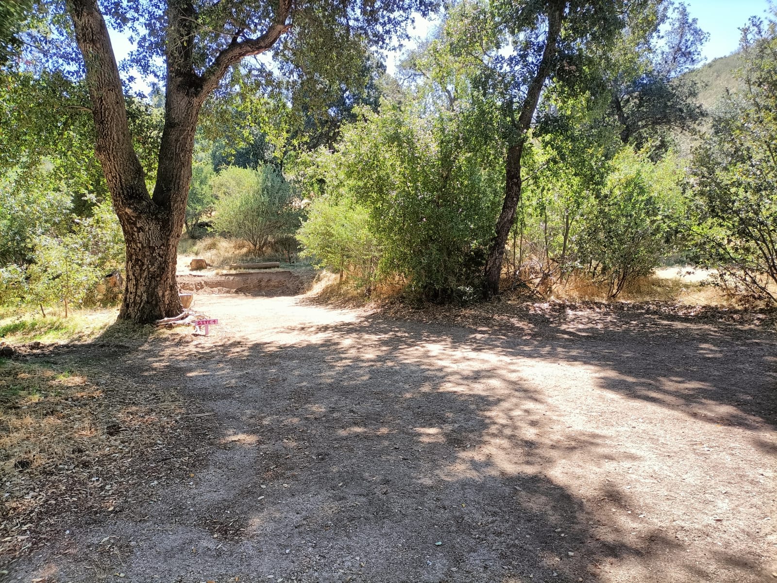 Picture of the site