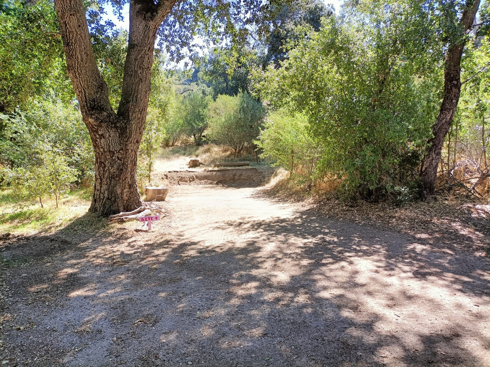 Picture of the site