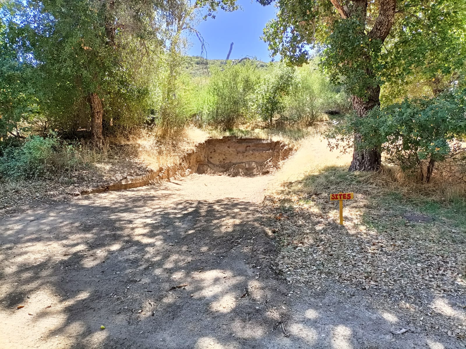 Picture of the site