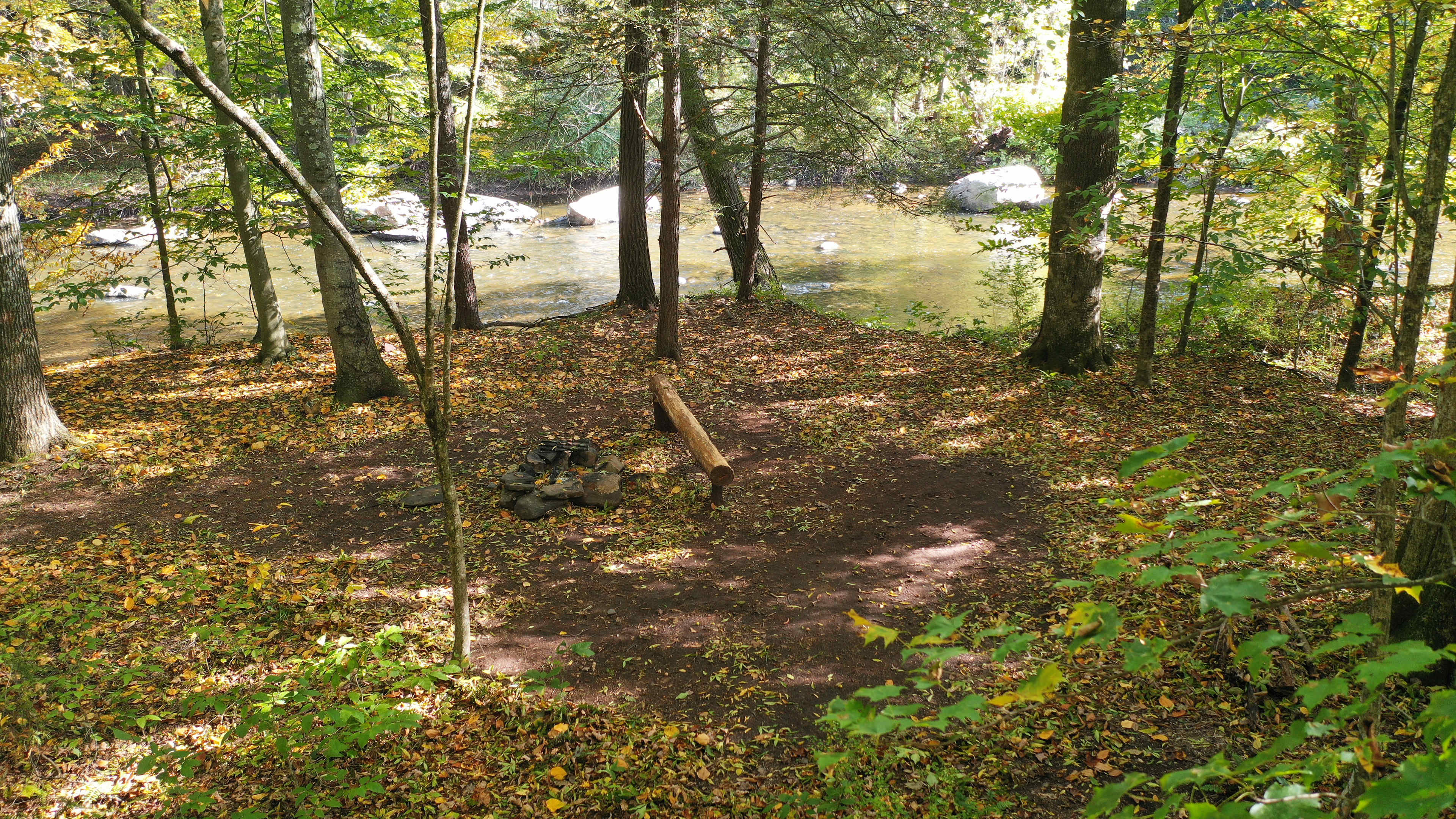 Picture of the site