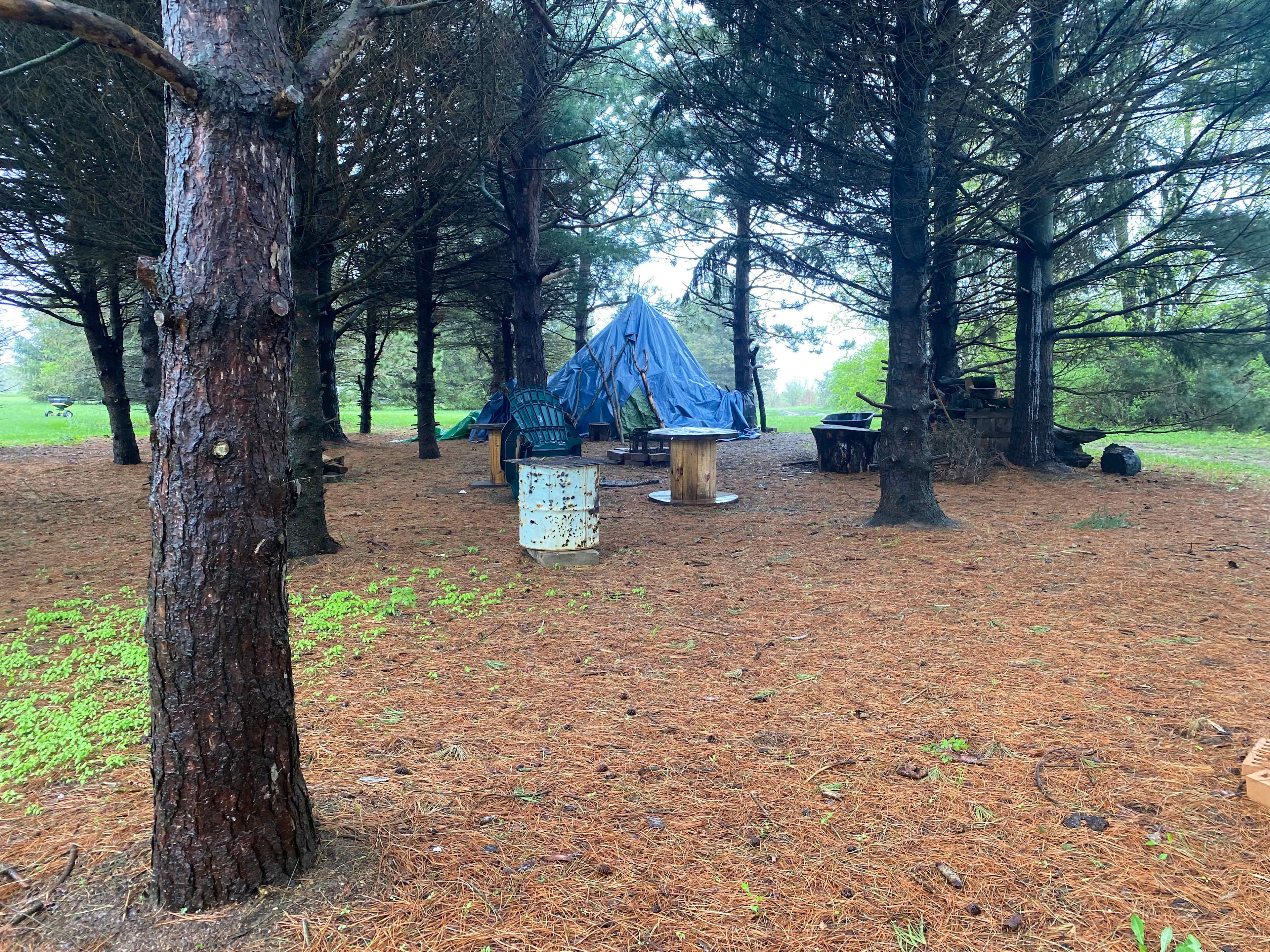 Picture of the site