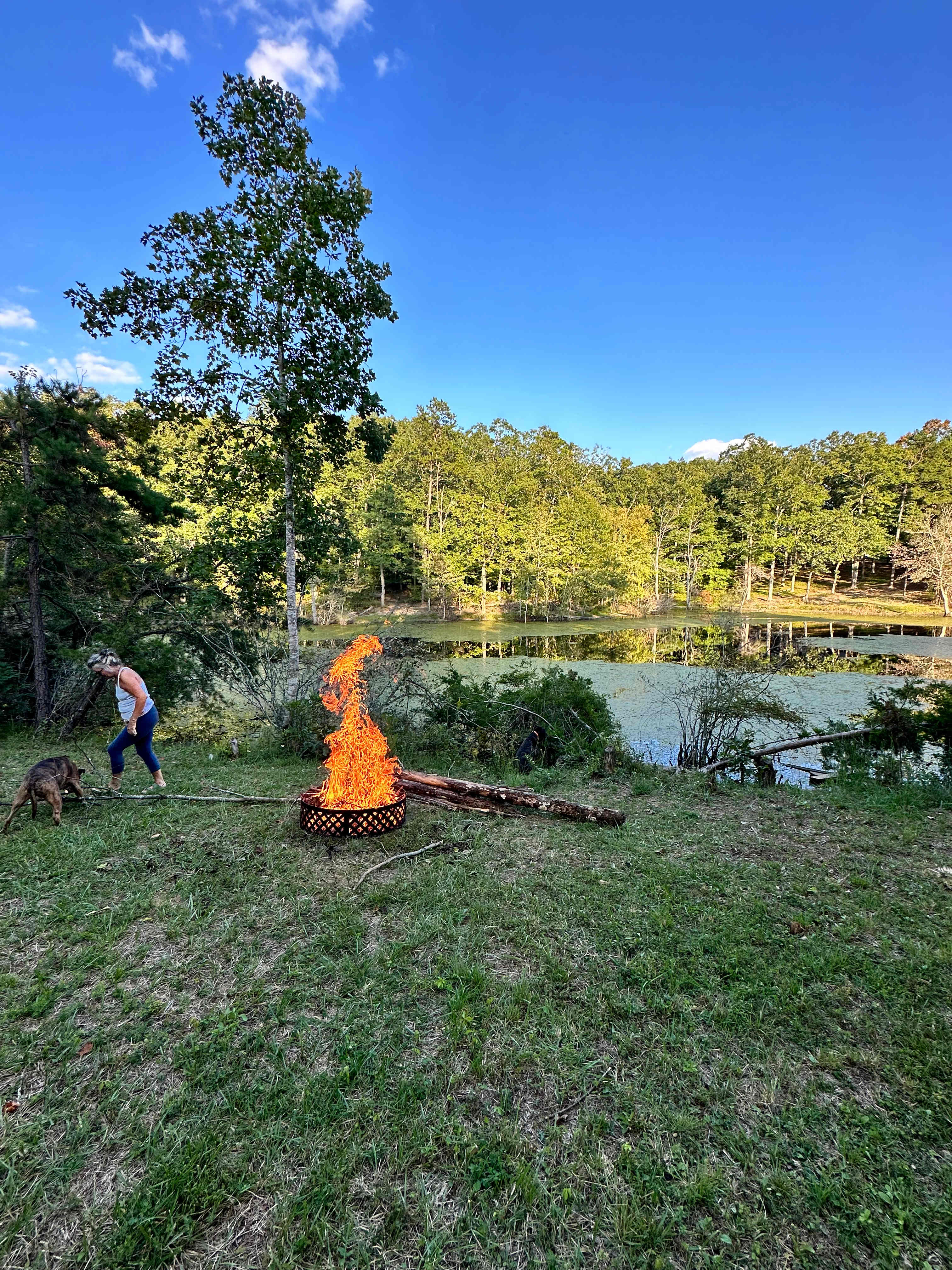 Escape to the Lake