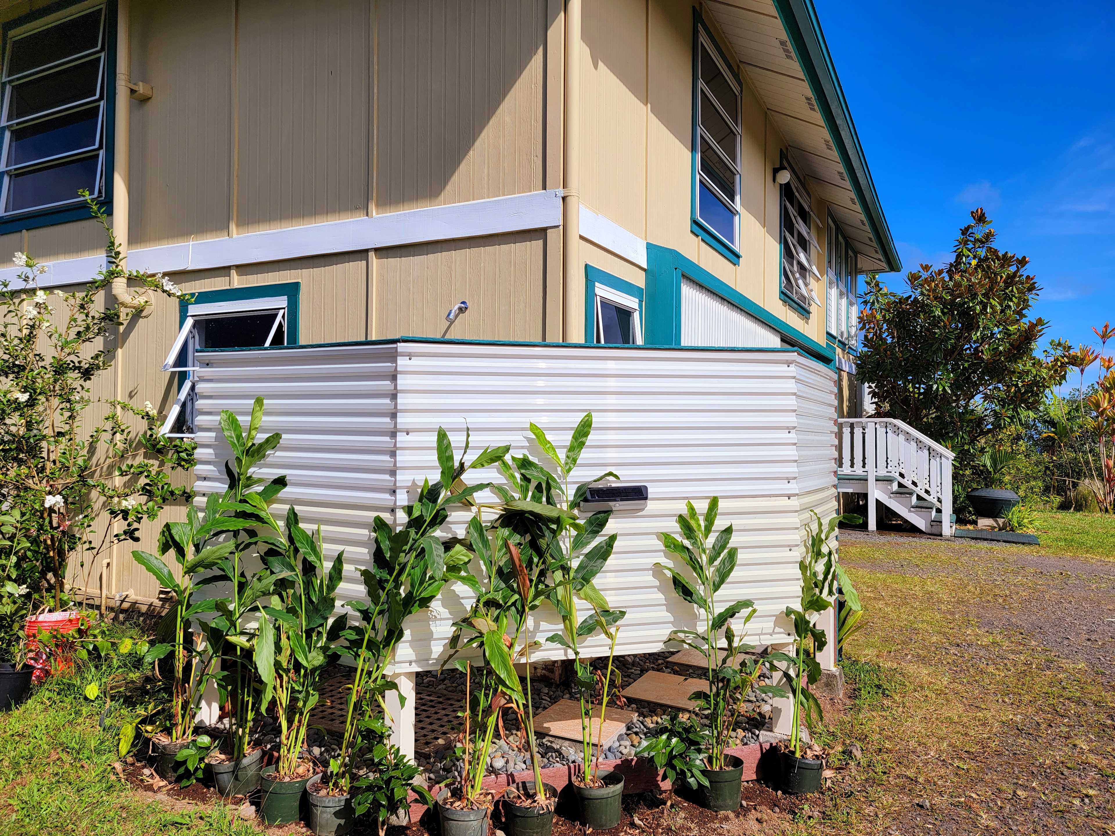 IO's NEST LOOKOUT on the Hamakua