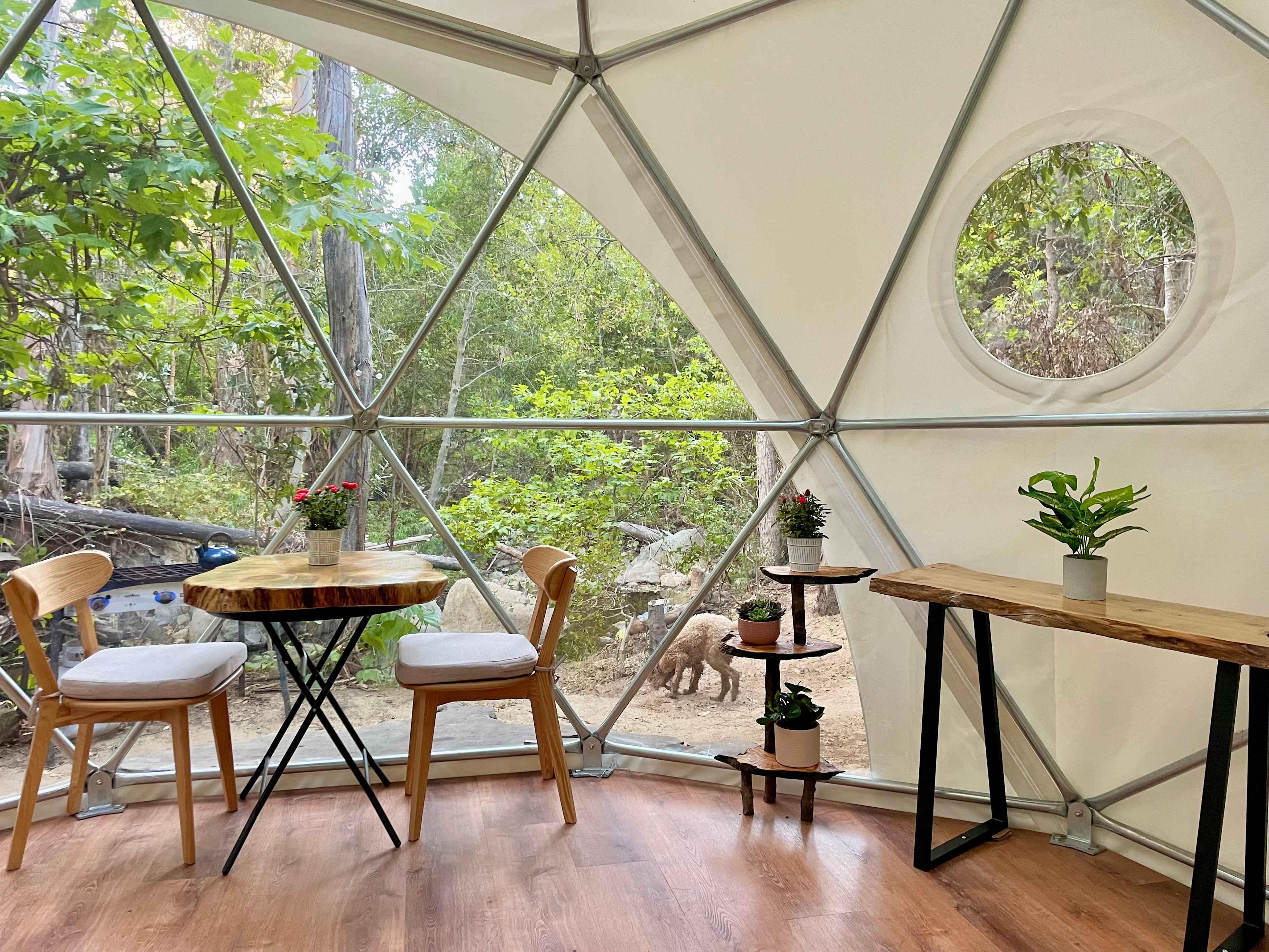 Harmony's Glamping