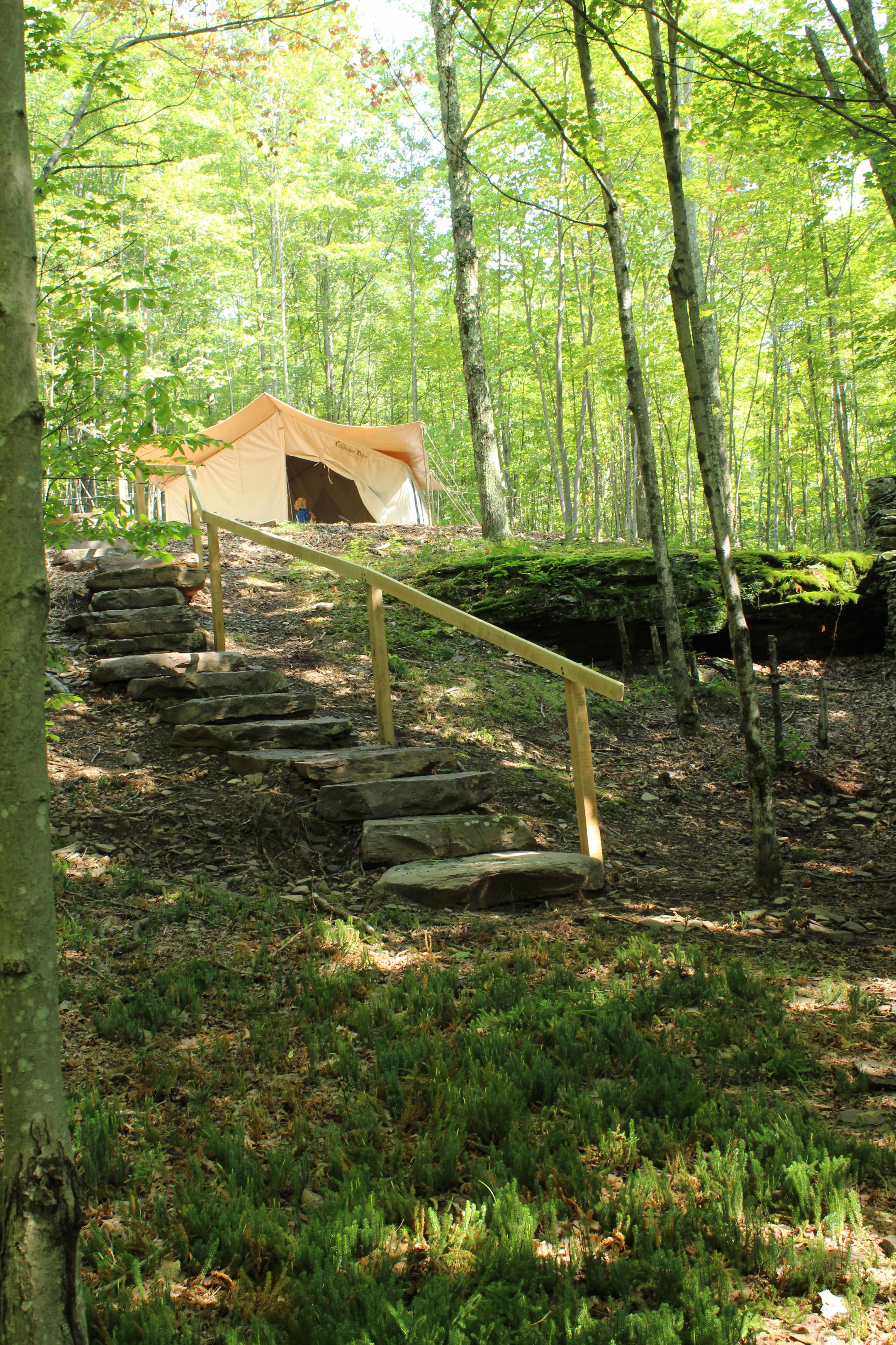 Picture of the site