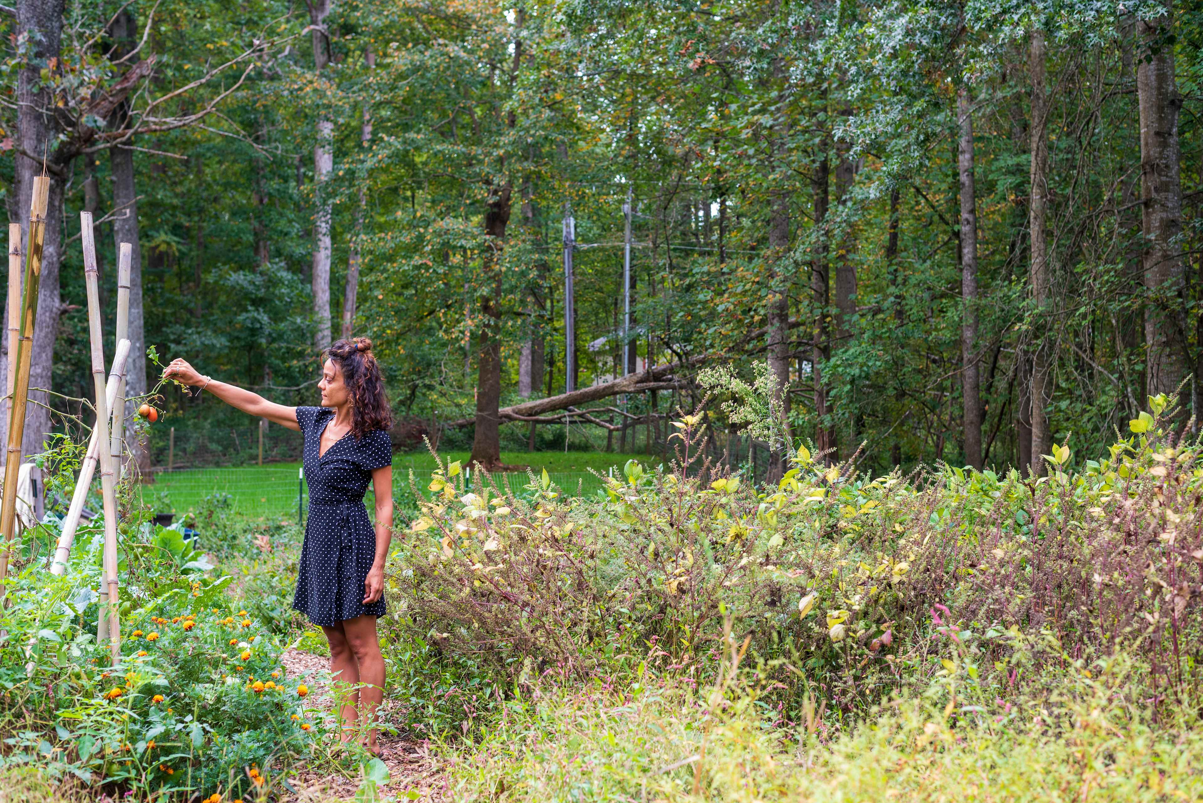 Lovers Lane Farm Stay