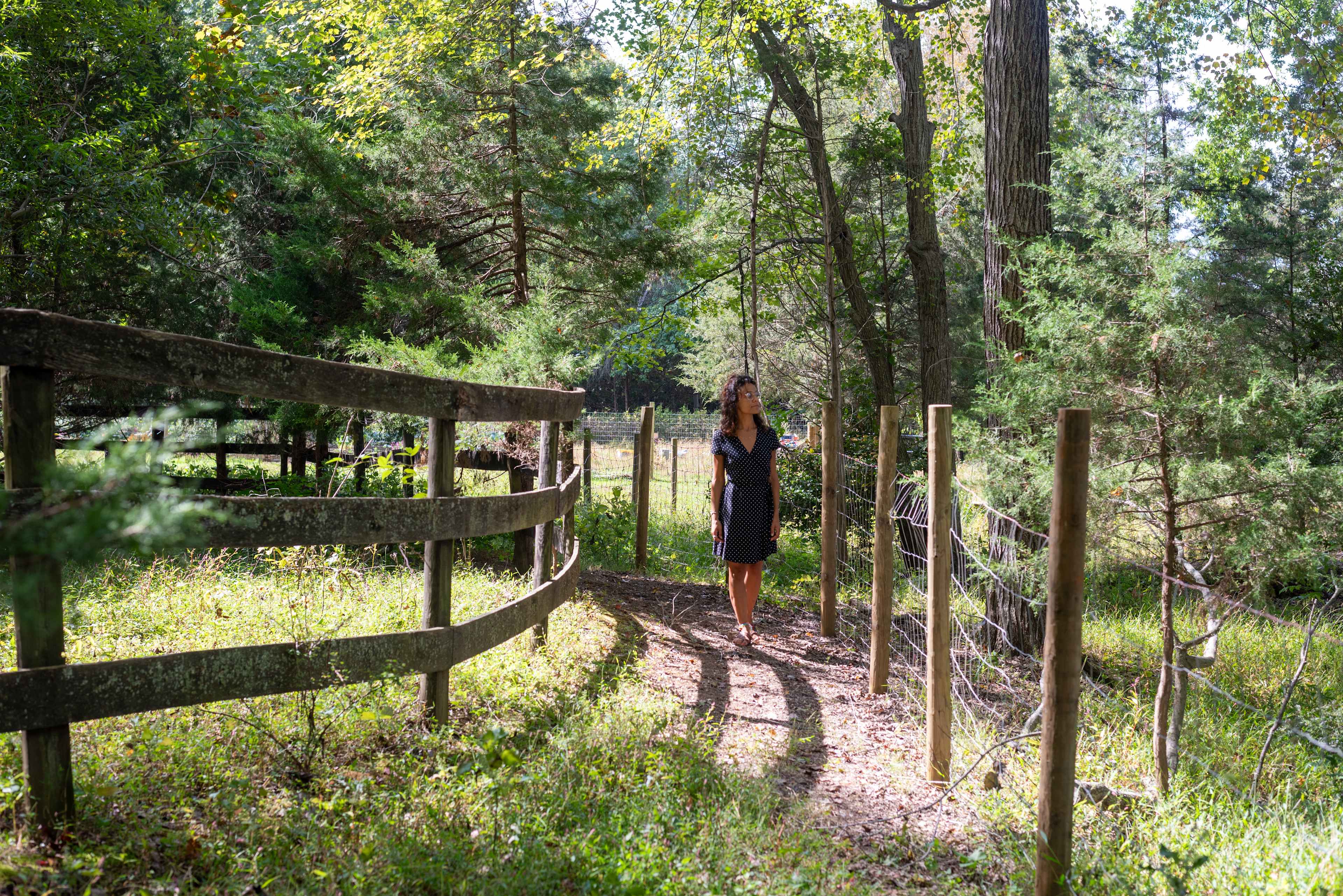 Lovers Lane Farm Stay