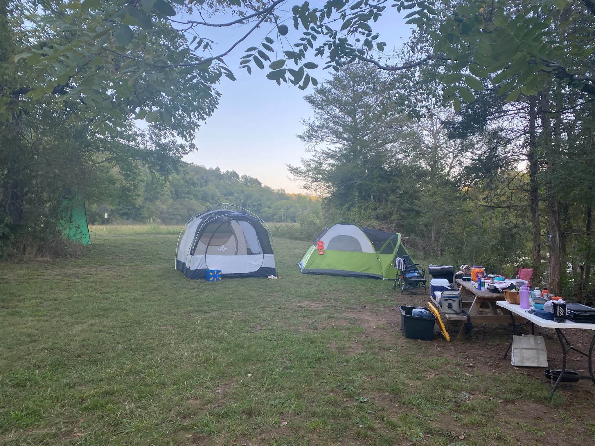 Picture of the site