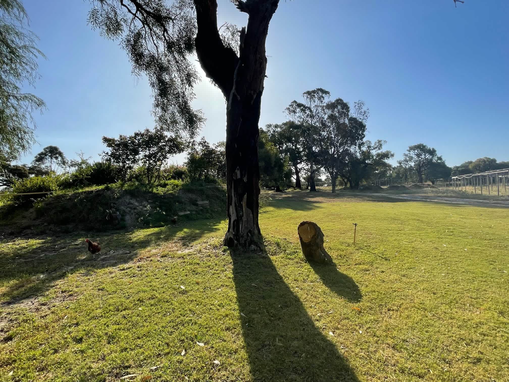 Picture of the site