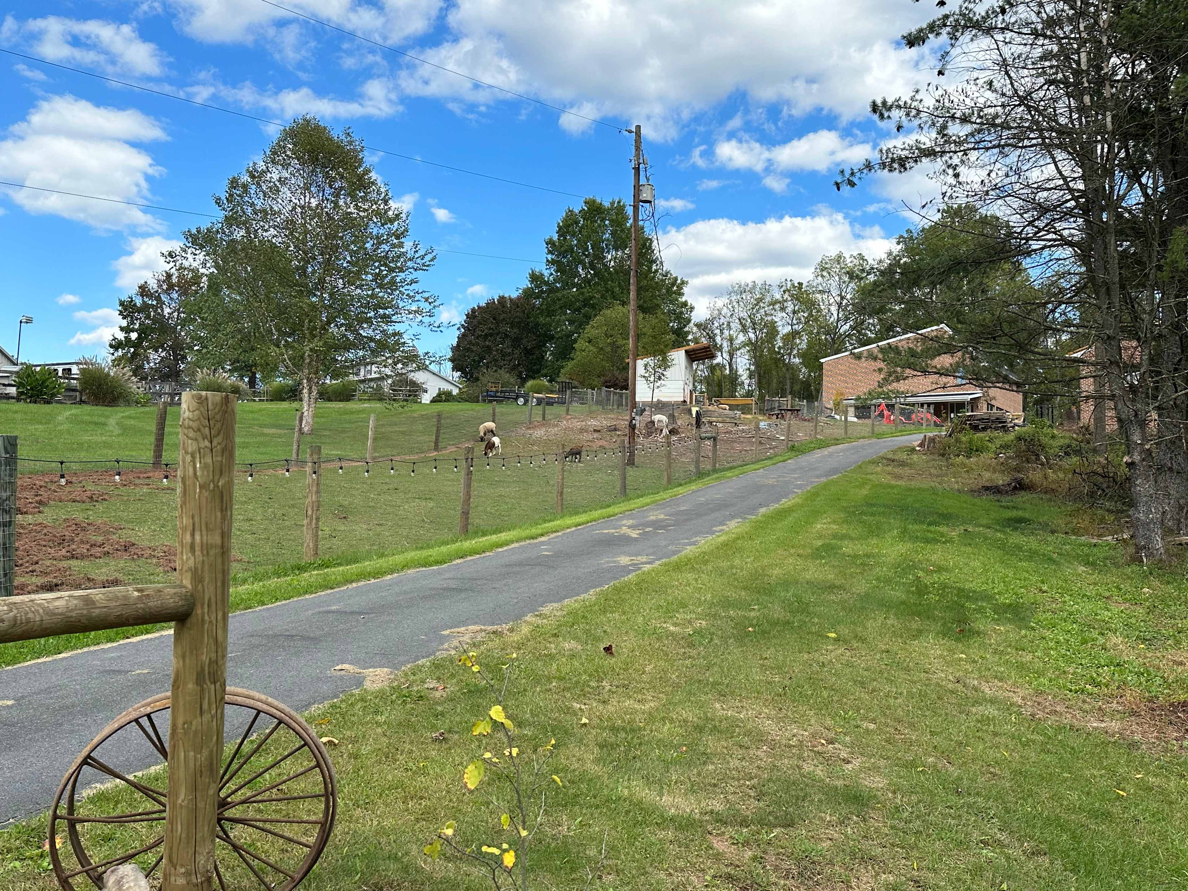 Forever Home Farm Sanctuary